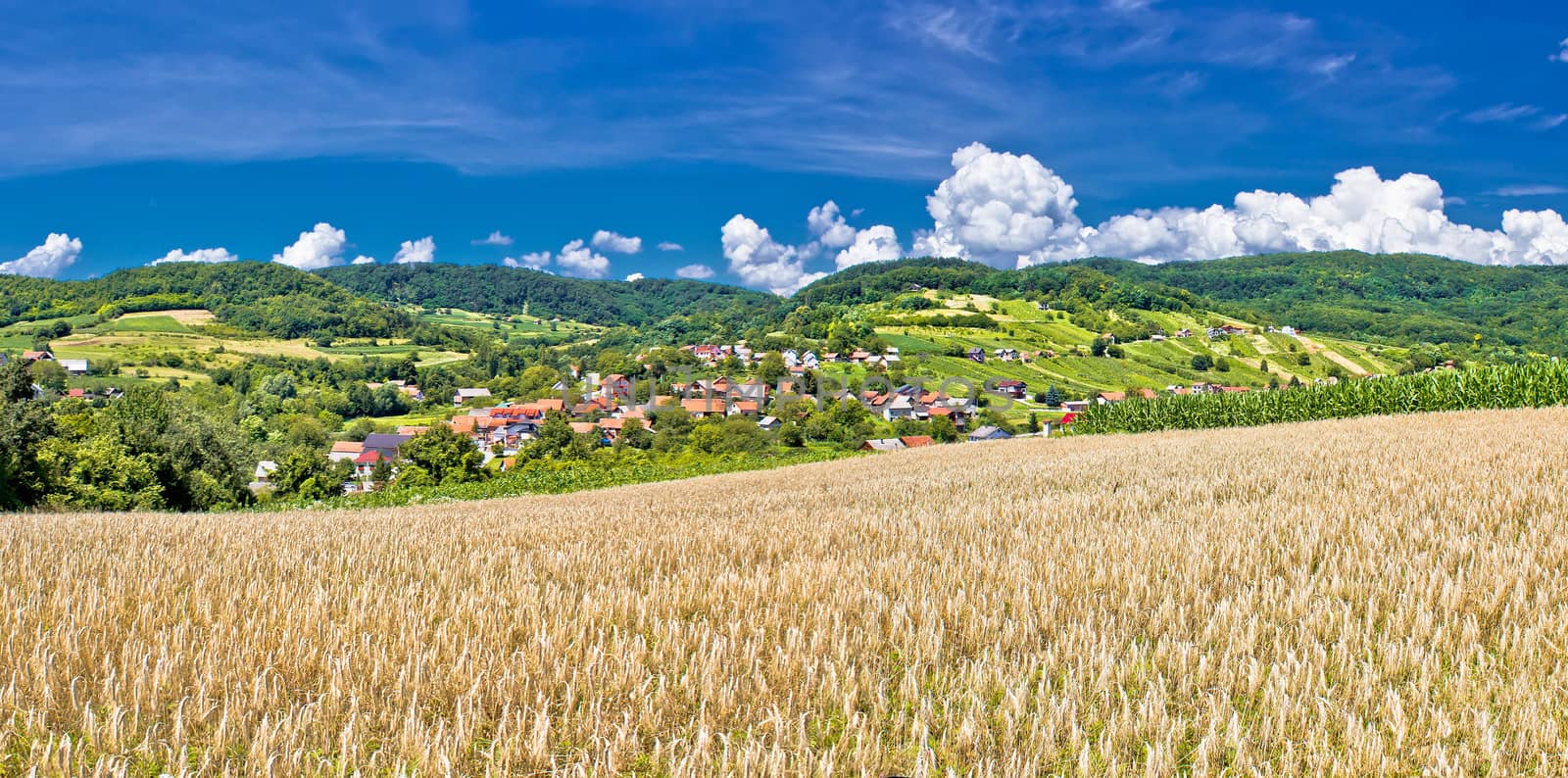 Idyllic agricultural landscape of Kalnik mountain, village of Sudovec in Croatia