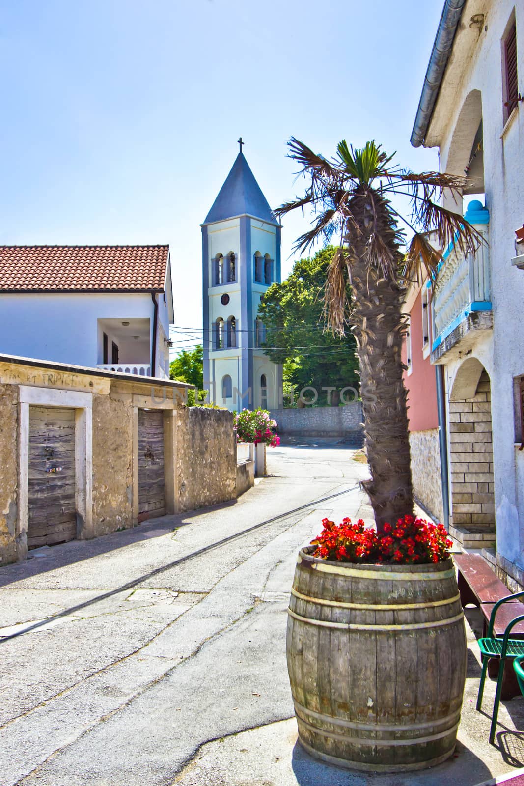 Dalmatian street in town of Petrcane, Croatia