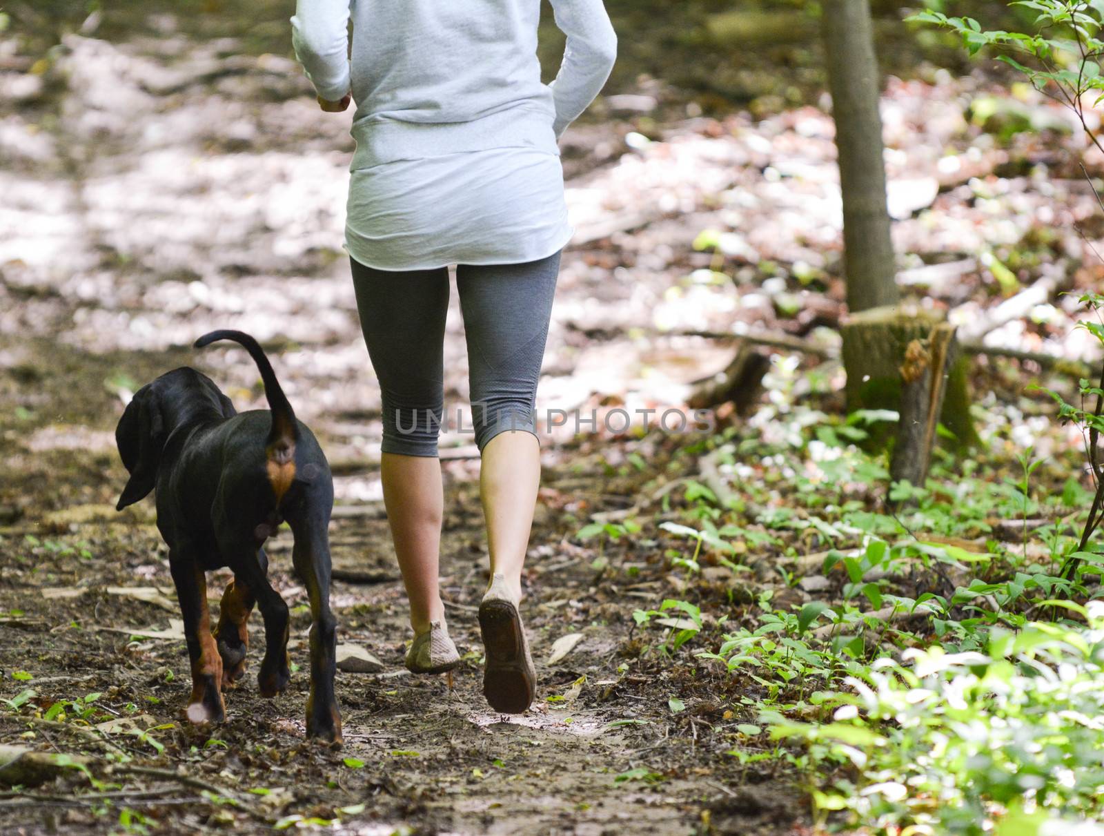 woman exercising with her dog in the woods
