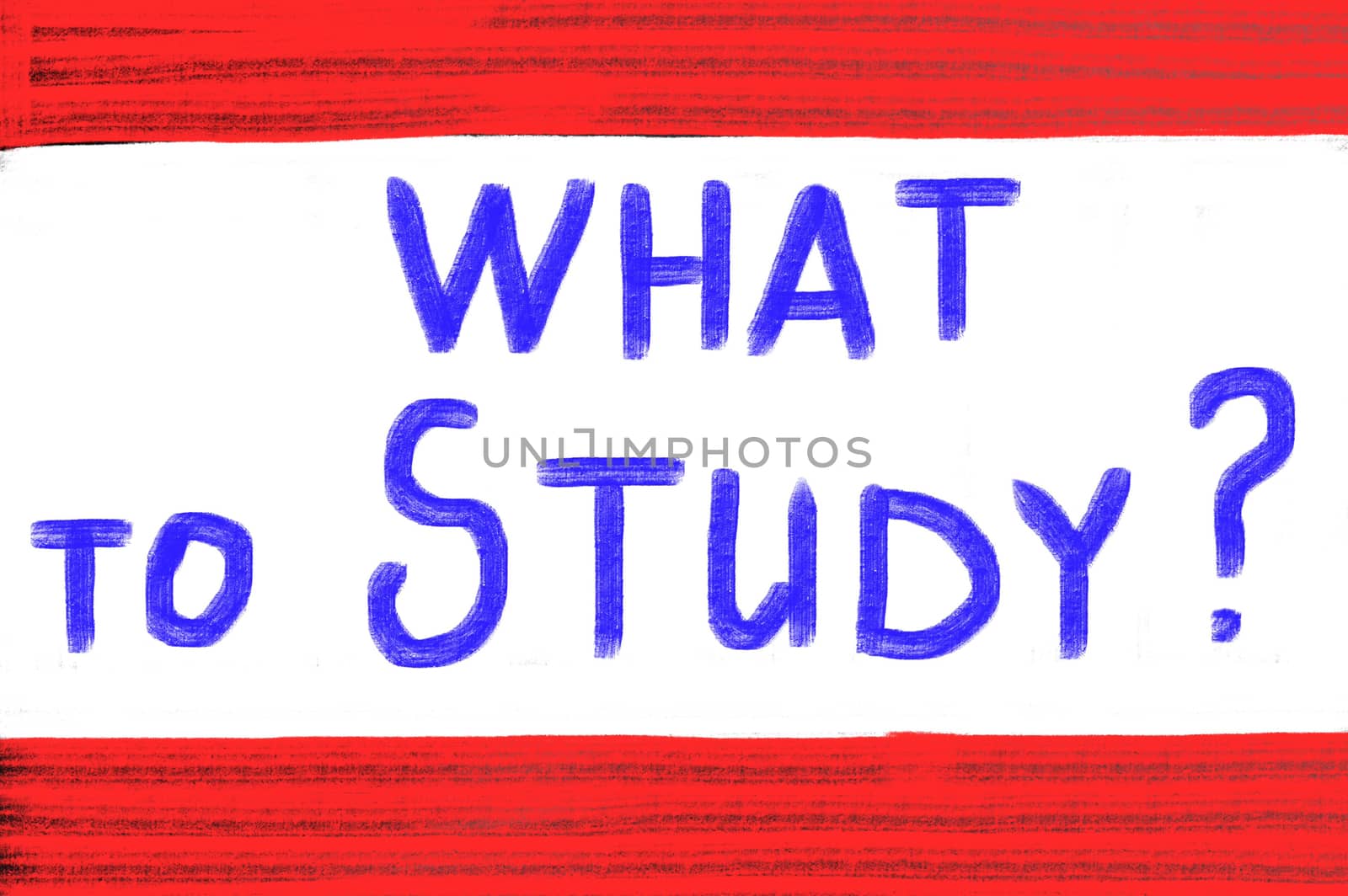 what to study concept