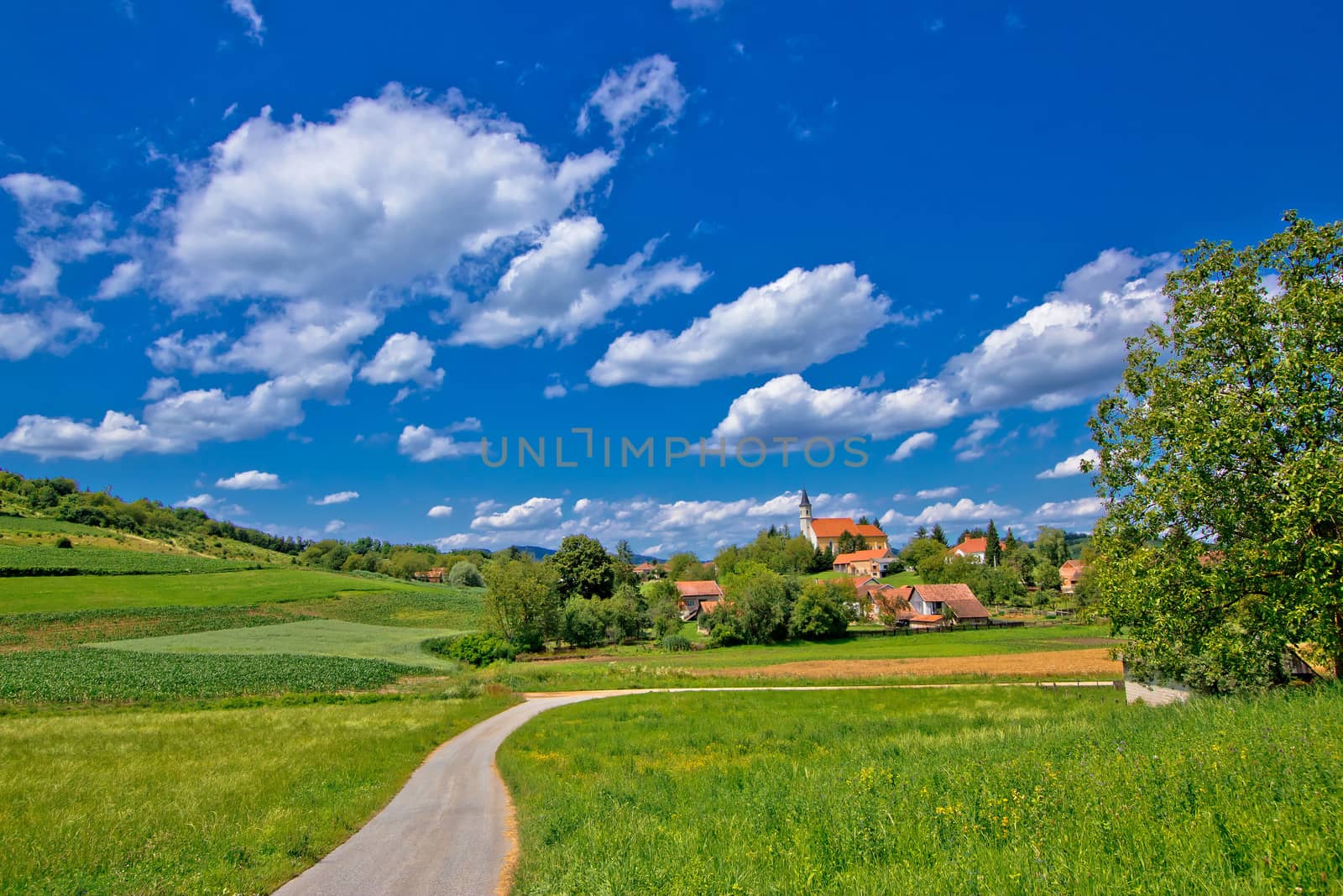 Idyllic village in green nature, Glogovnica, Croatia