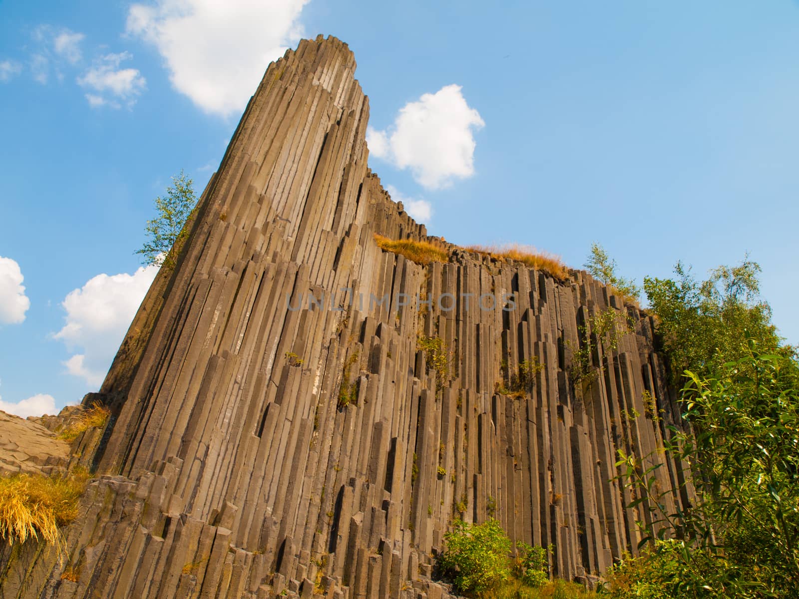 Basalt organ pipes of Panska skala (Czech Republic)