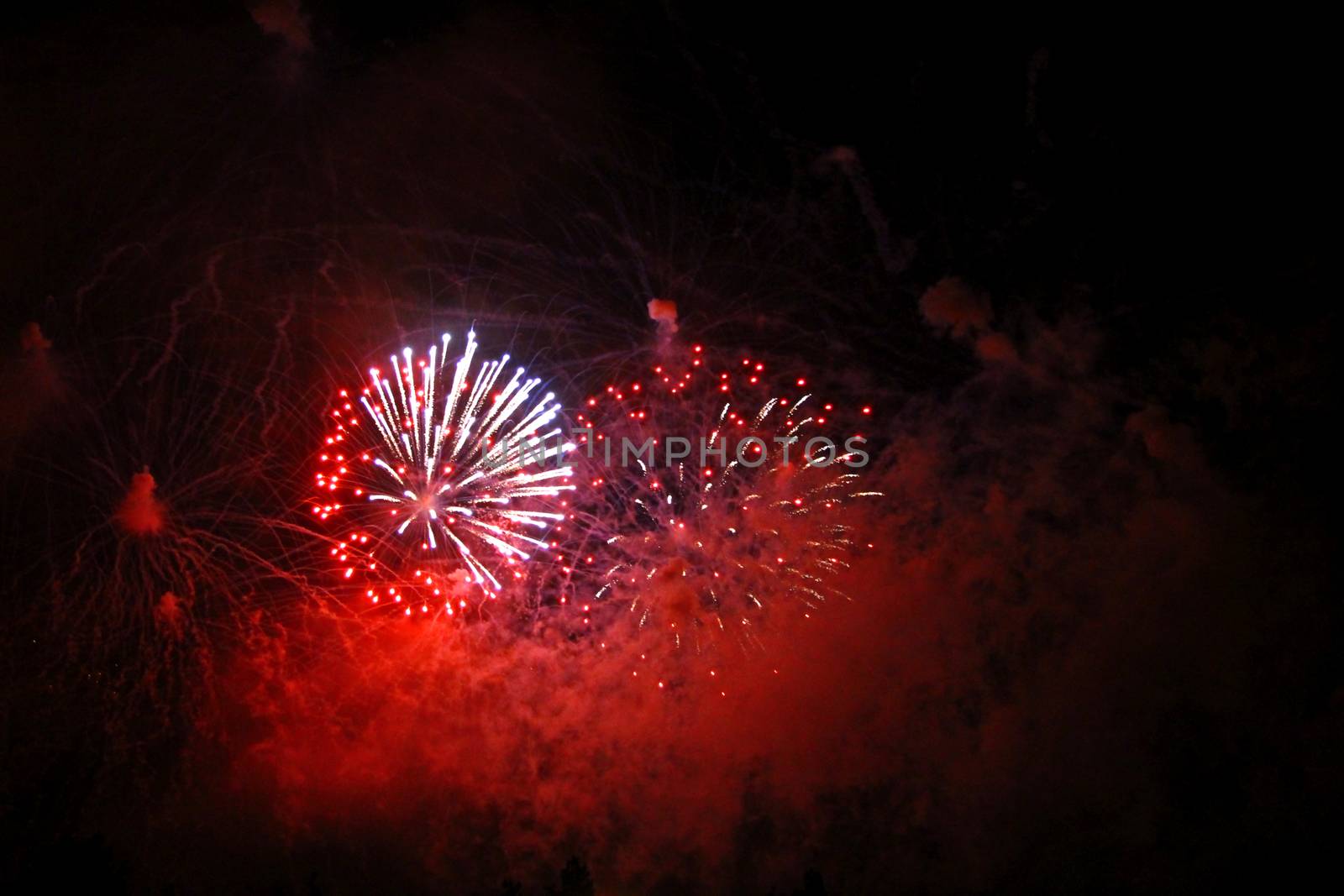 Celebrating firework in the black night sky