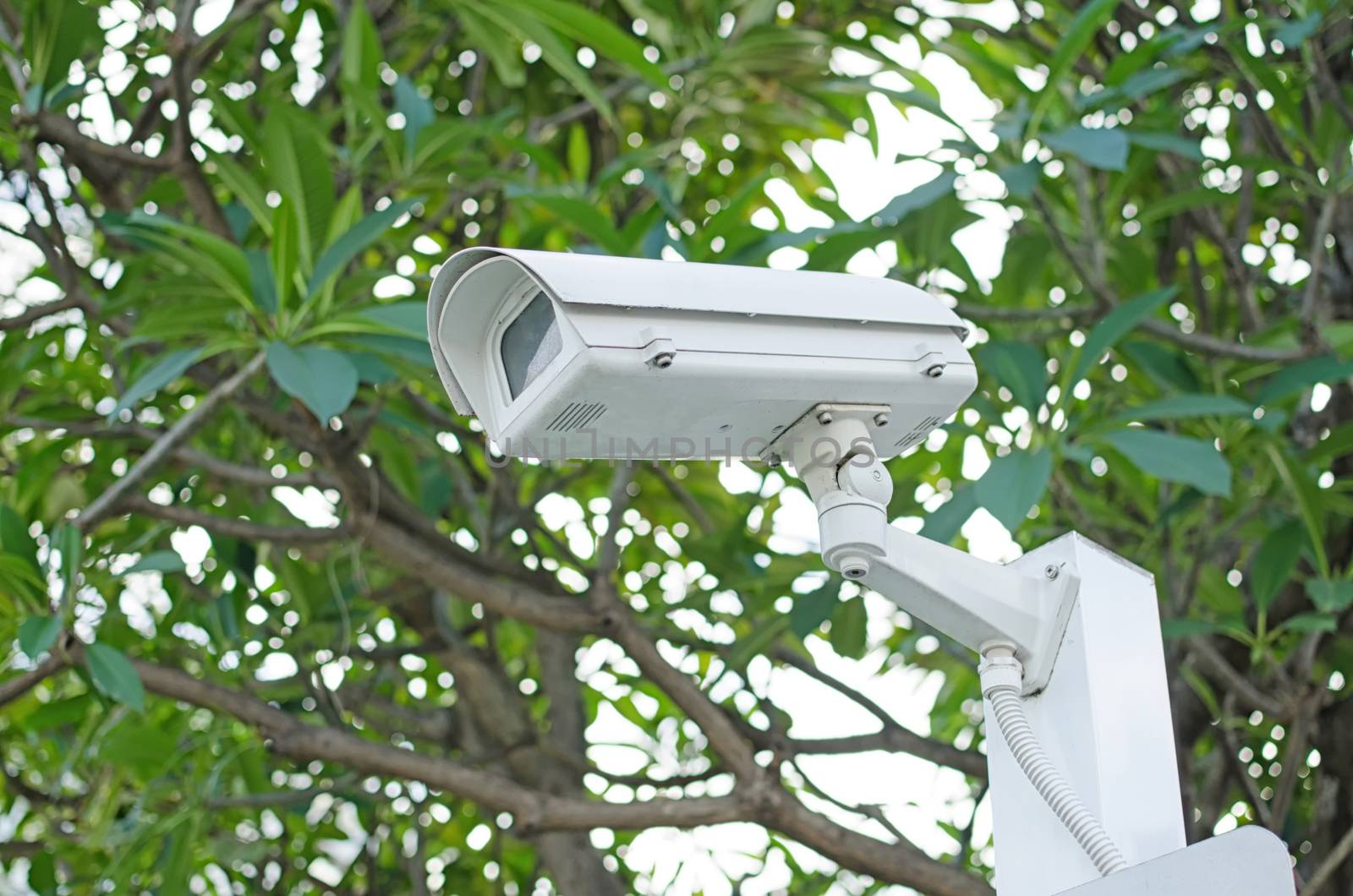 CCTV camera on a nature background by nopparats