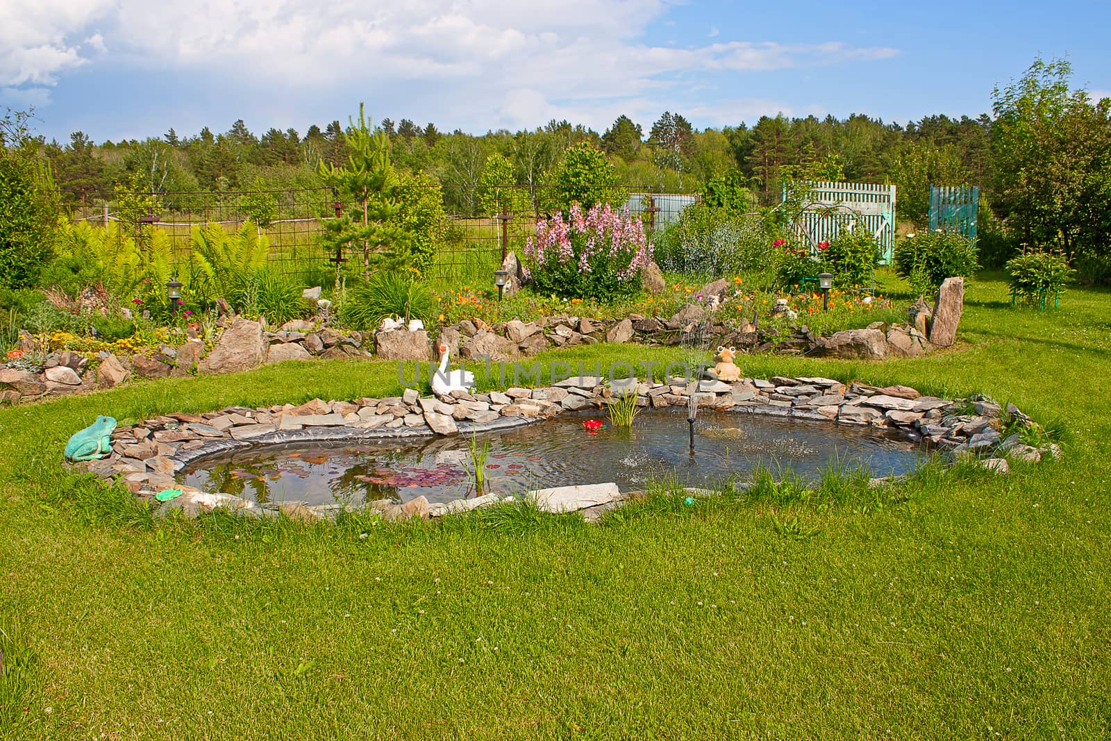 Example of landscape design with a pond in the garden. Beautiful corner of the garden.