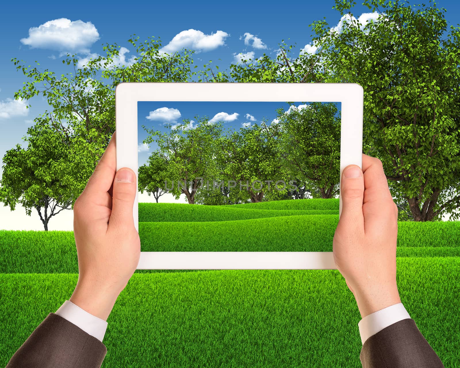 Hands hold tablet pc with nature landscape as backdrop. Eco concept