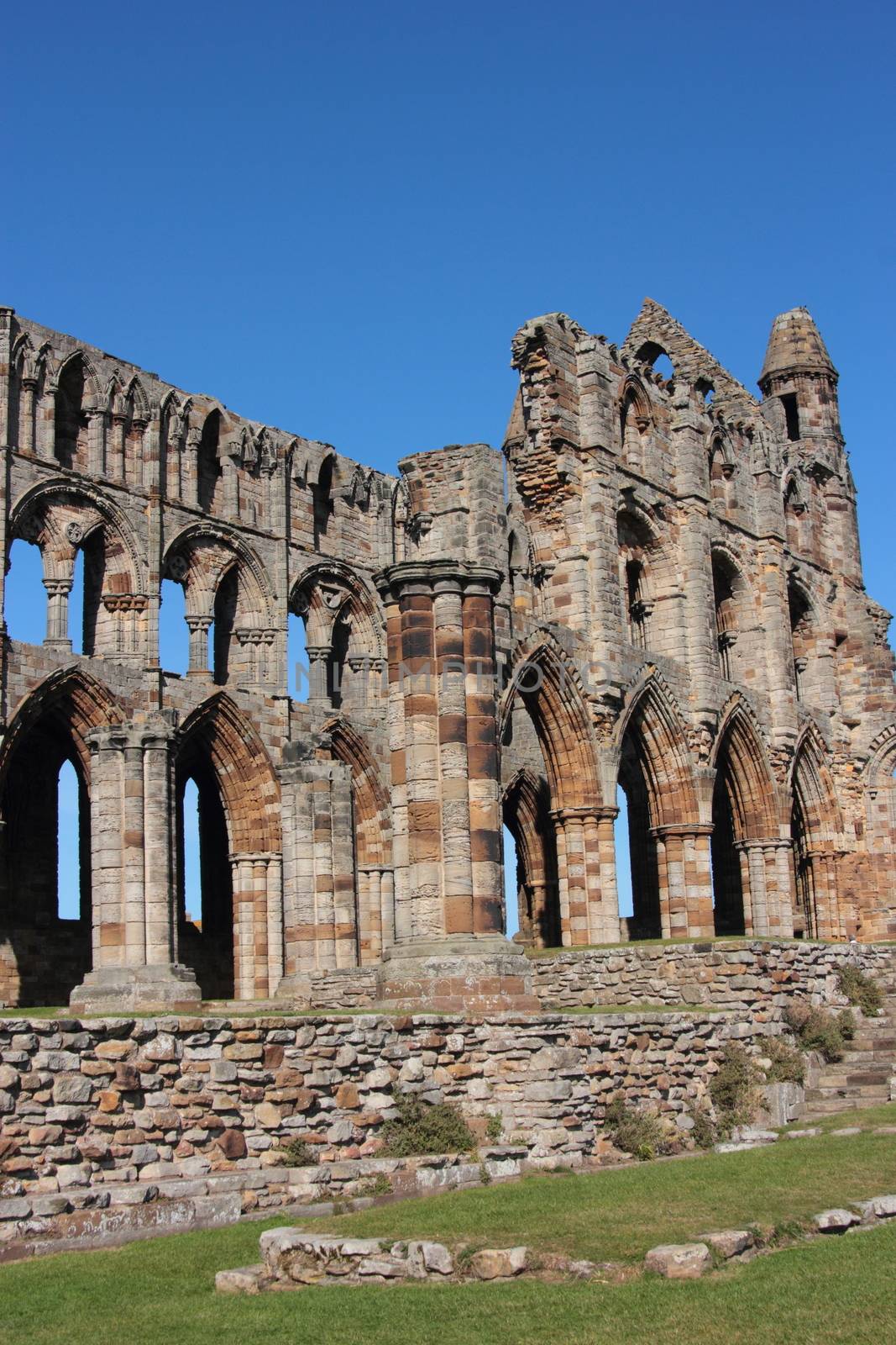 Whitby Abbey Yorkshire Uk by mitzy