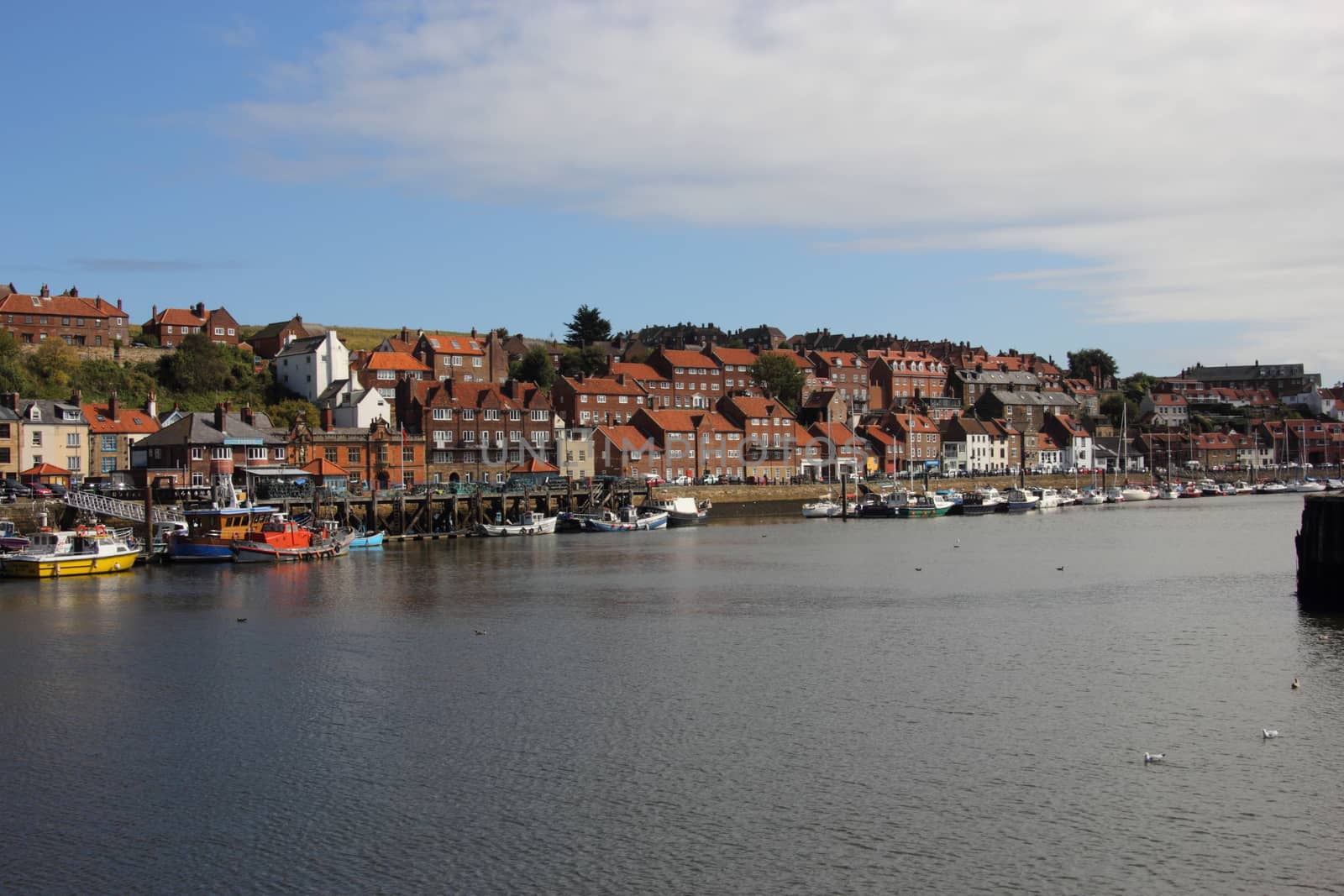 Whitby harbour Yorkshire uk by mitzy