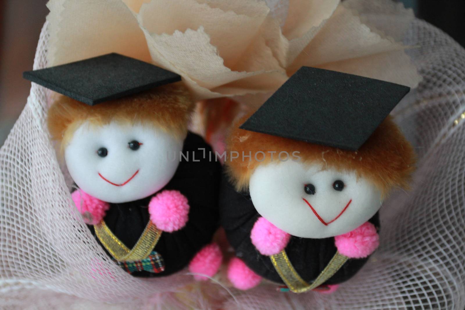 congreatulation dolls arrange with fabric.It is the gift for person who graduated.