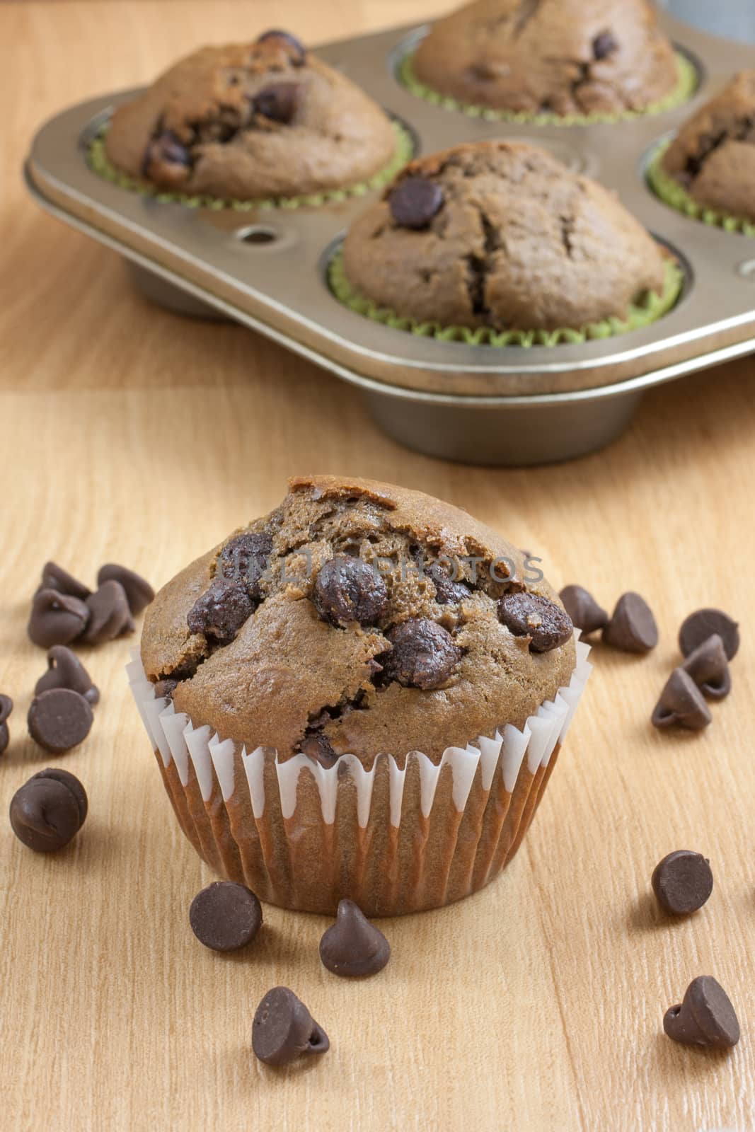 Chocolate chocolate chip muffins on a countertop with a pan of muffins in the back ground.