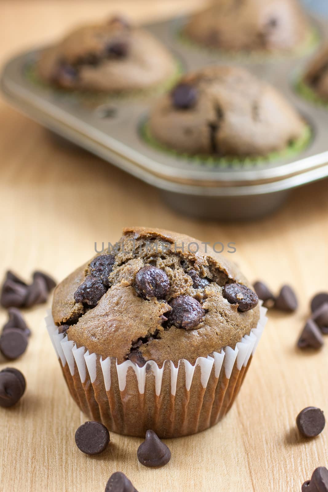 Chocolate Chocolate Chip Muffins by SouthernLightStudios