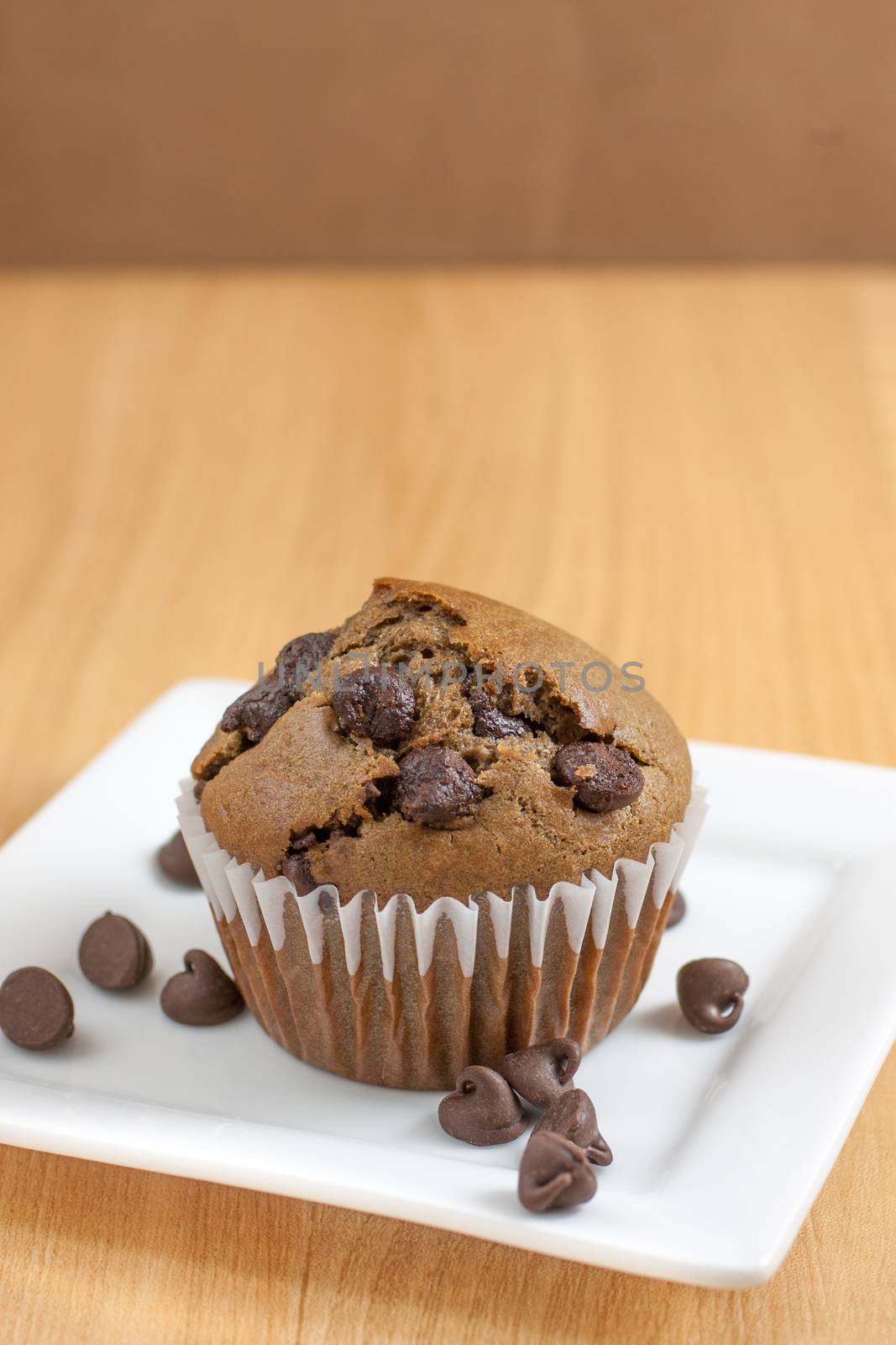 Chocolate Chocolate Chip Muffins by SouthernLightStudios