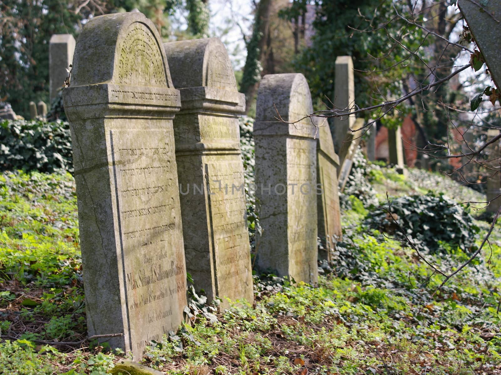 Mikulov countryside and Jewish cementary by Dermot68