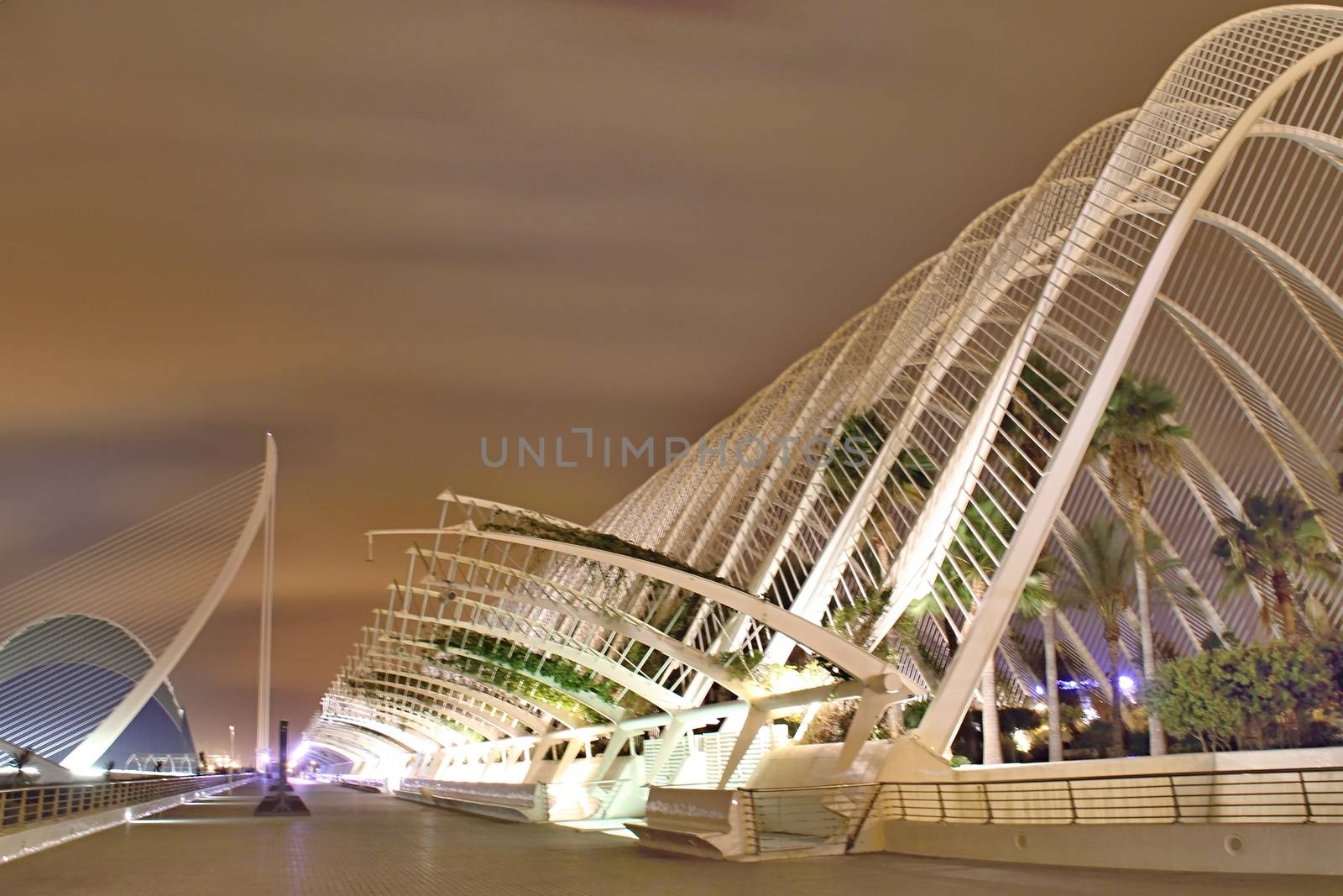 Photo shows Valencia city at night and its various surroundings.