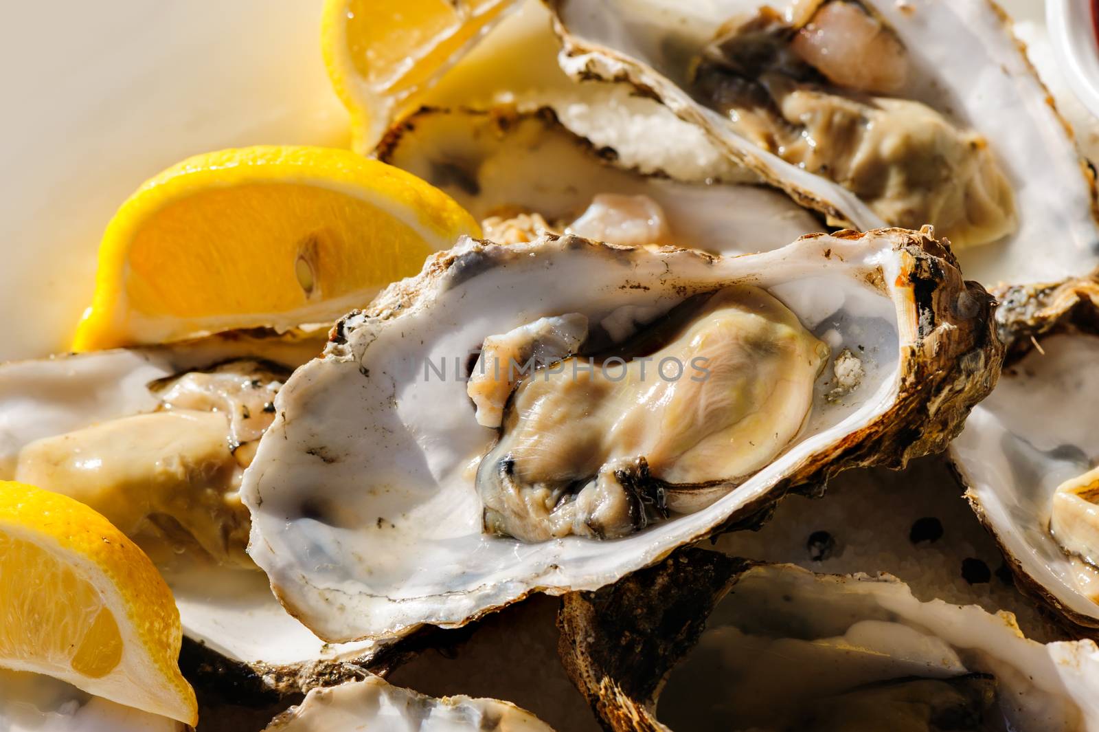 plate of oysters with lemon and special sauce