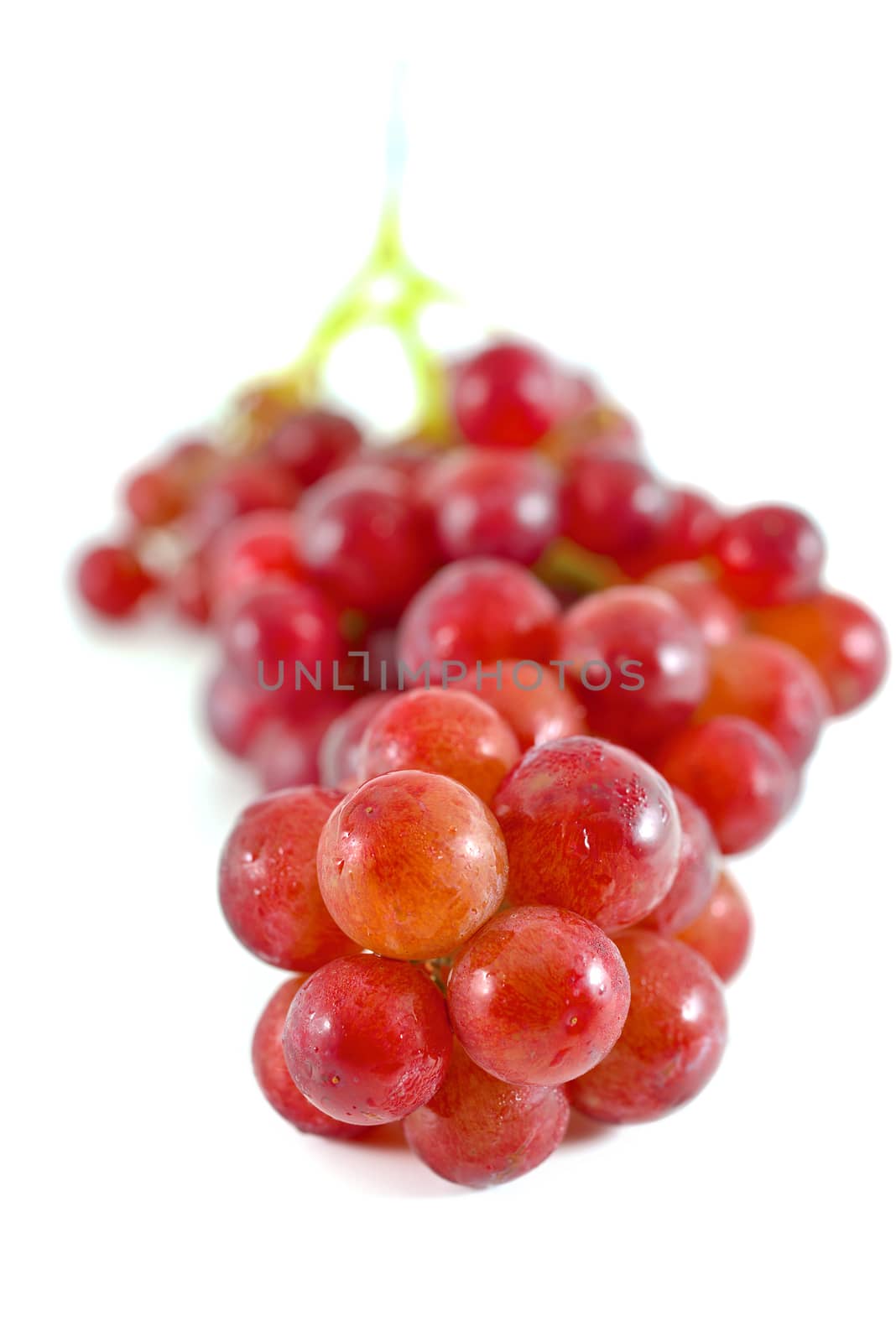 red grapes by antpkr