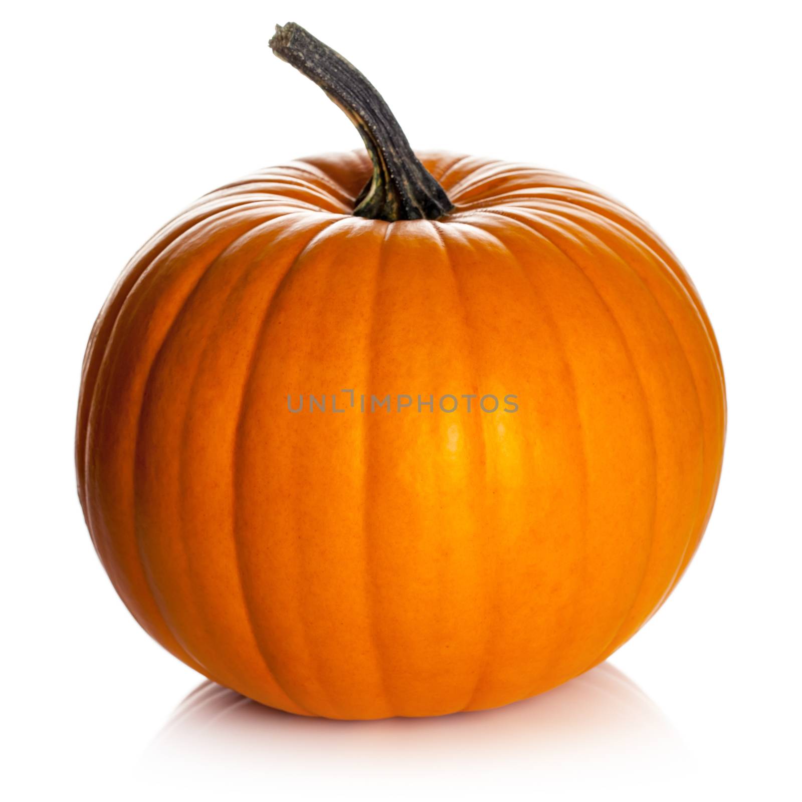 Pumpkin on white background. Fresh and orange