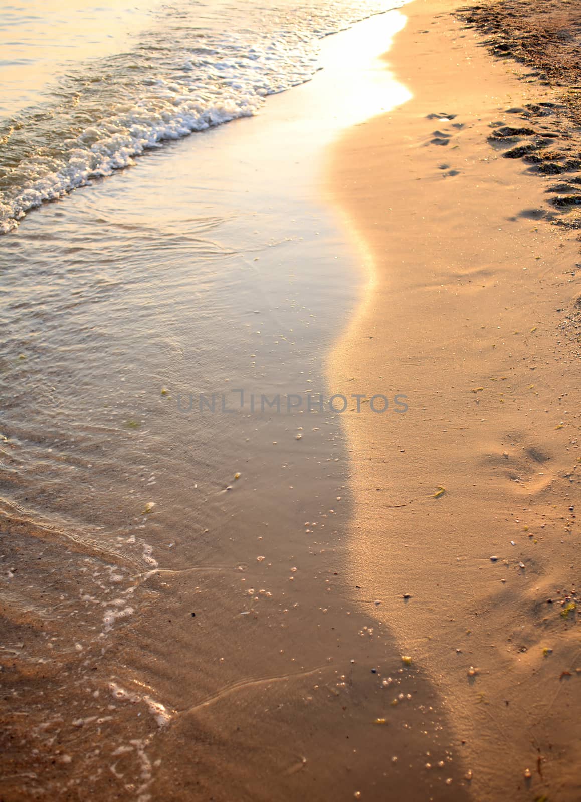 Detail of the sandy sea shore at sunset in the resort village Bolshevik Ukraine
