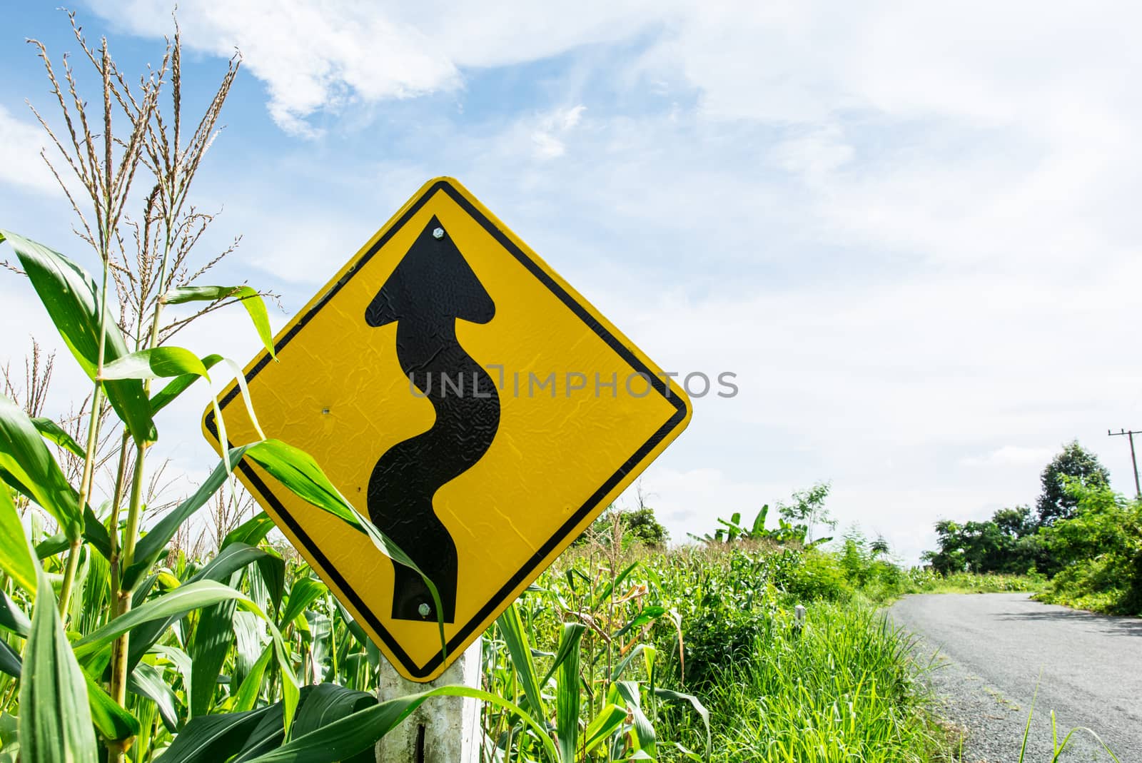 the yellow winding road sign on the road side under the sun light