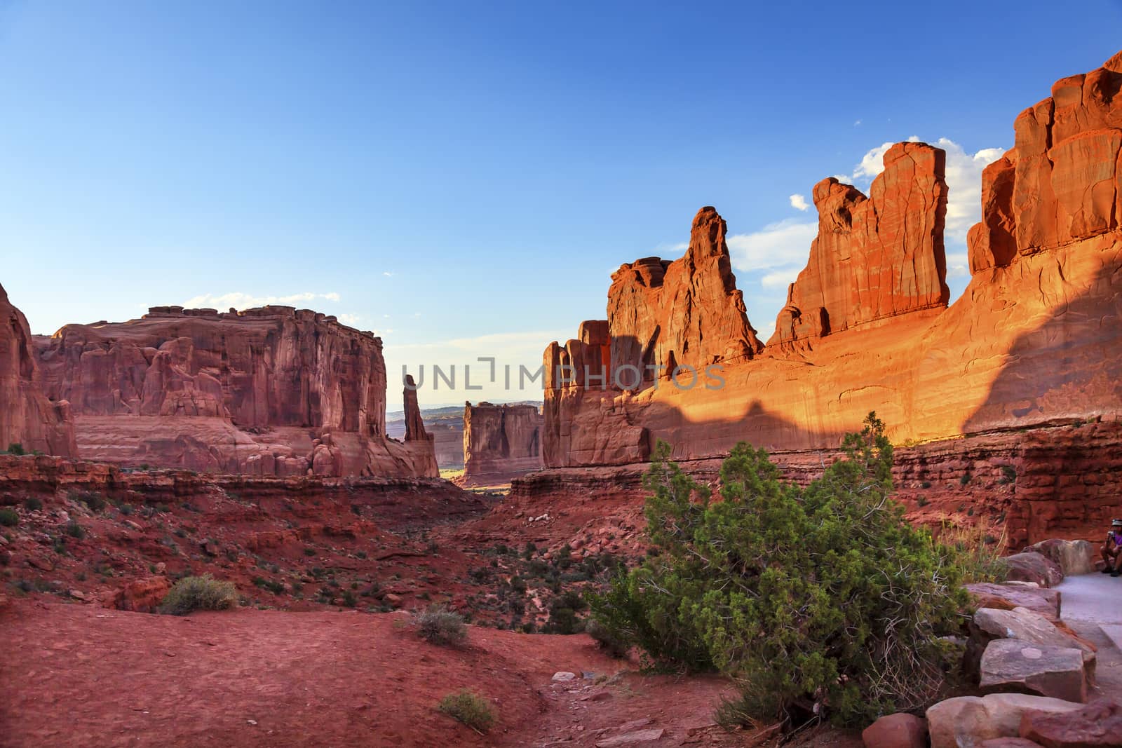 Park Avenue Section Arches National Park Moab Utah  by bill_perry