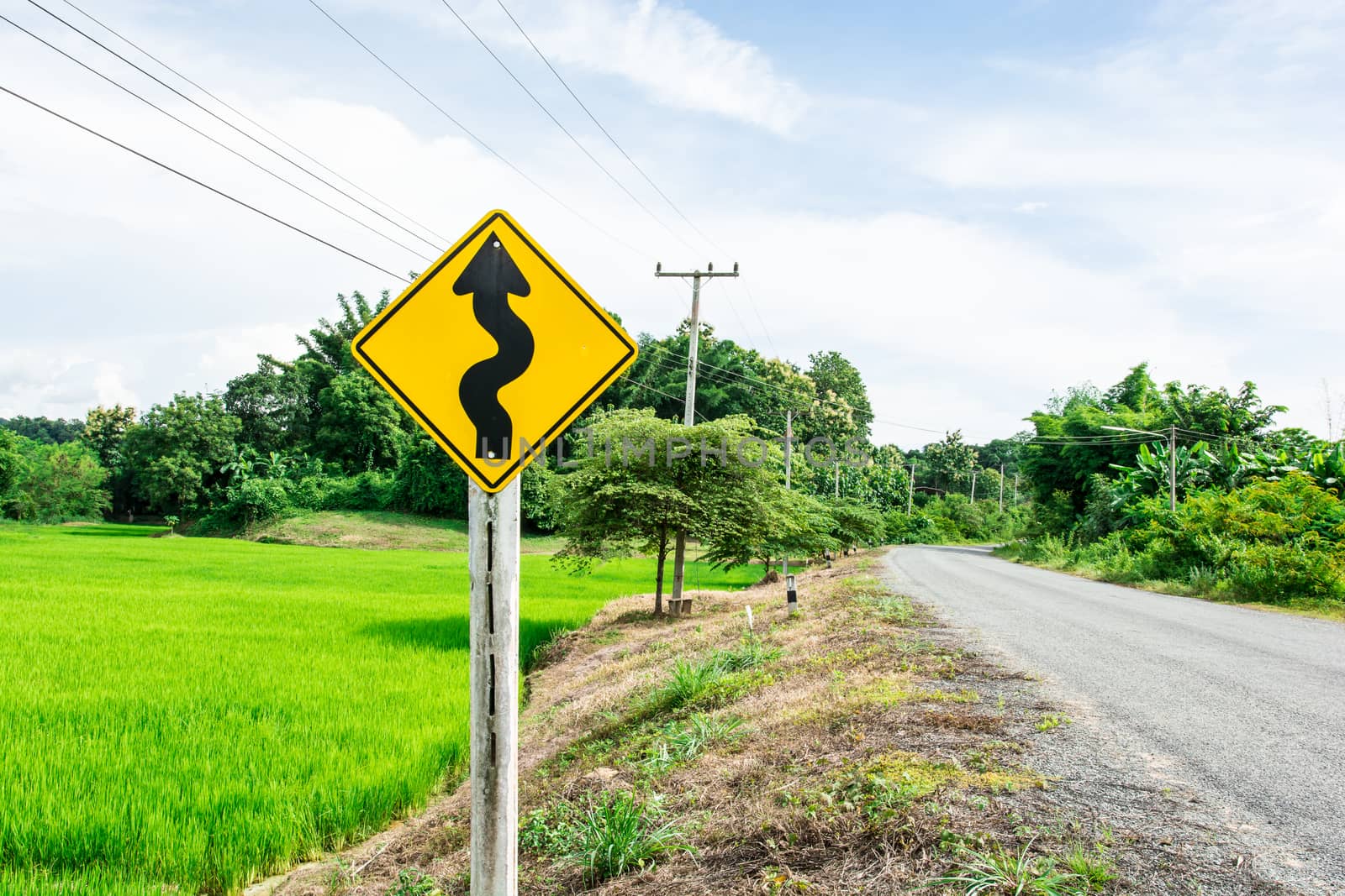 the yellow winding road sign on the road side under the sun light