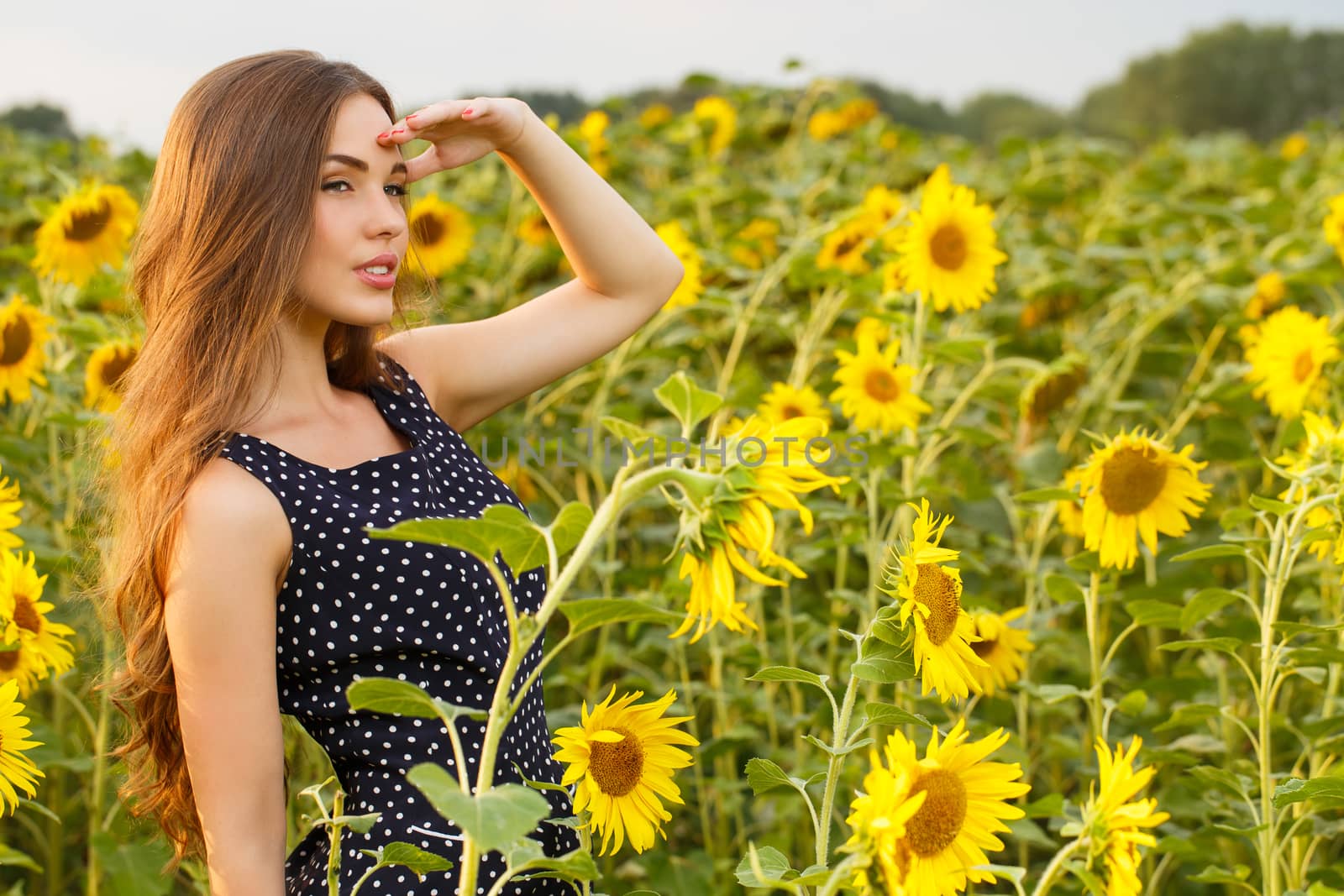 Cute girl in the field full of sunflowers