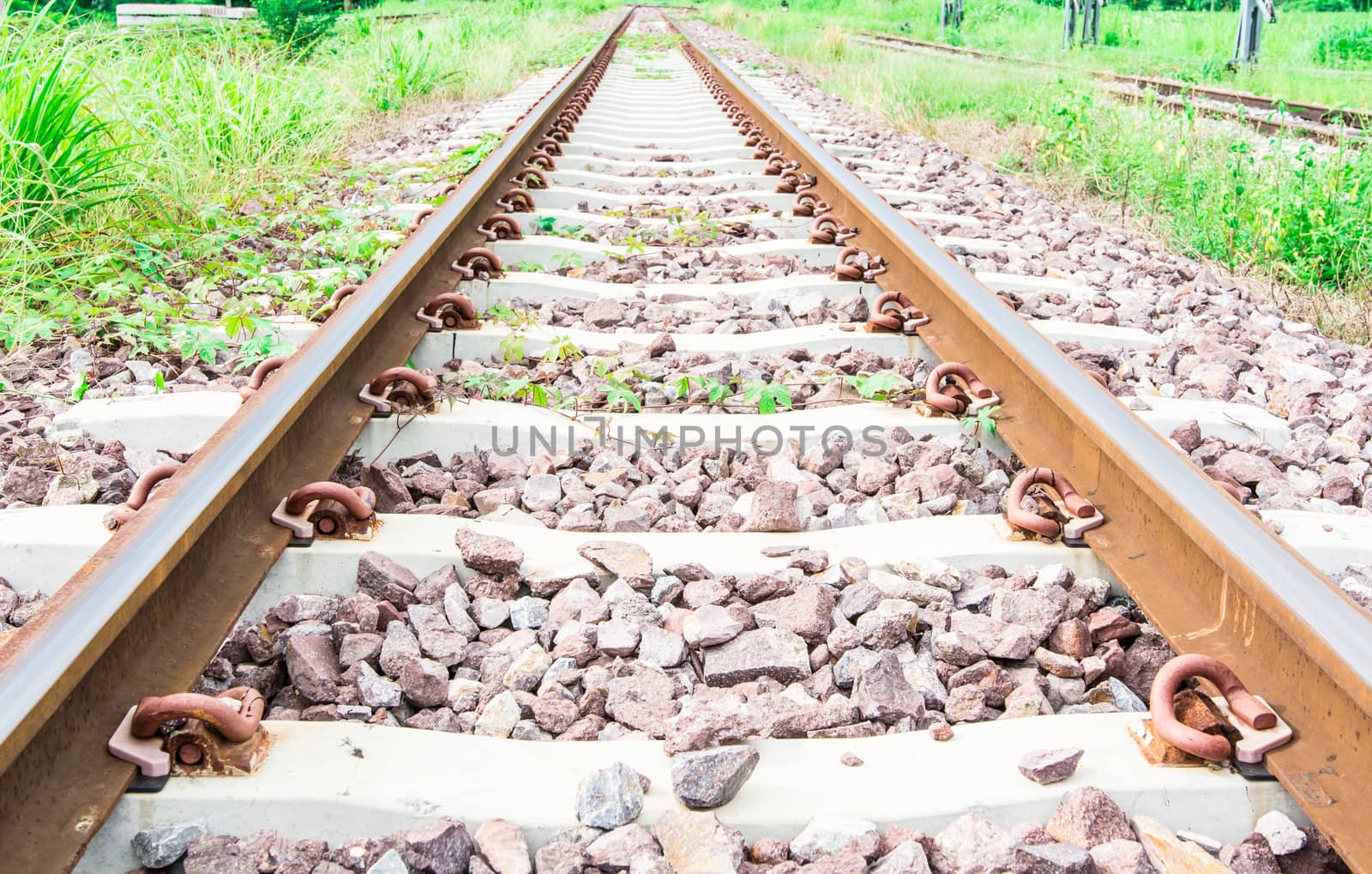 the gorgeous railway tracks in a rural scene and green grass