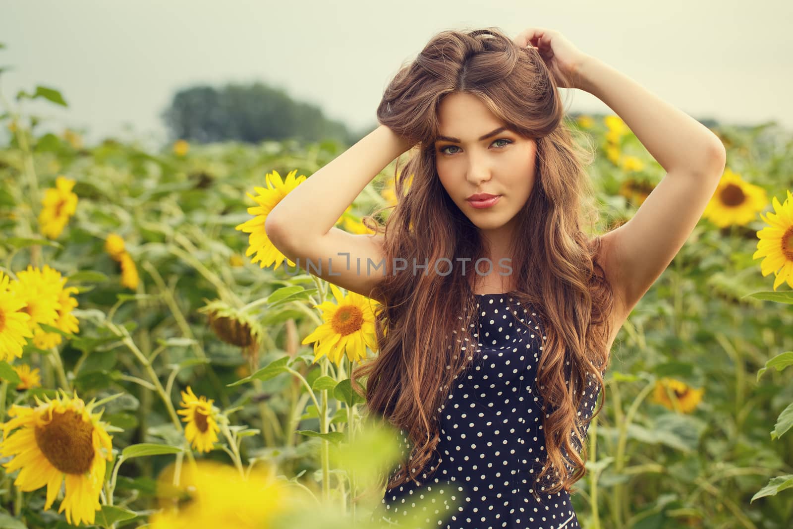 Cute girl in the field full of sunflowers