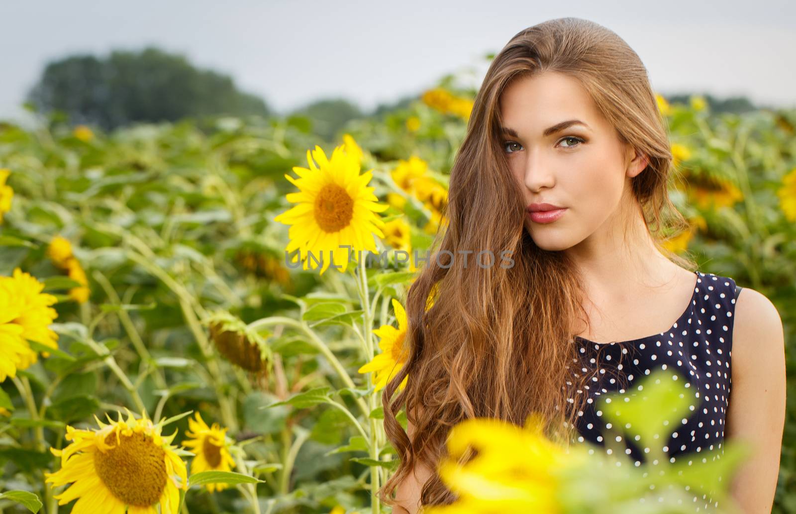 Cute girl in the field full of sunflowers