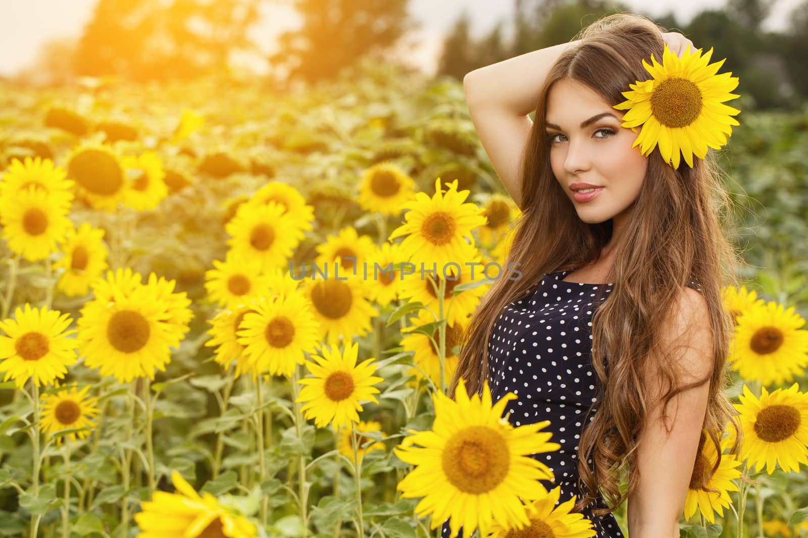 Cute girl in the field full of sunflowers