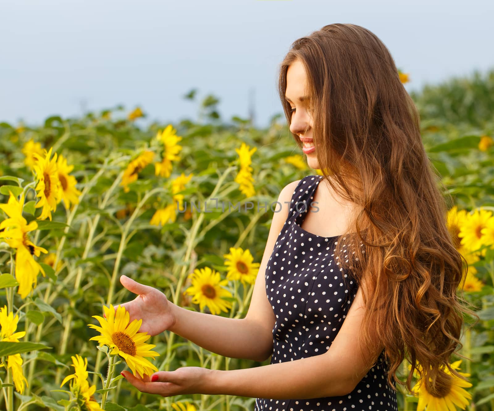 Beautiful girl with sunflowers by rufatjumali