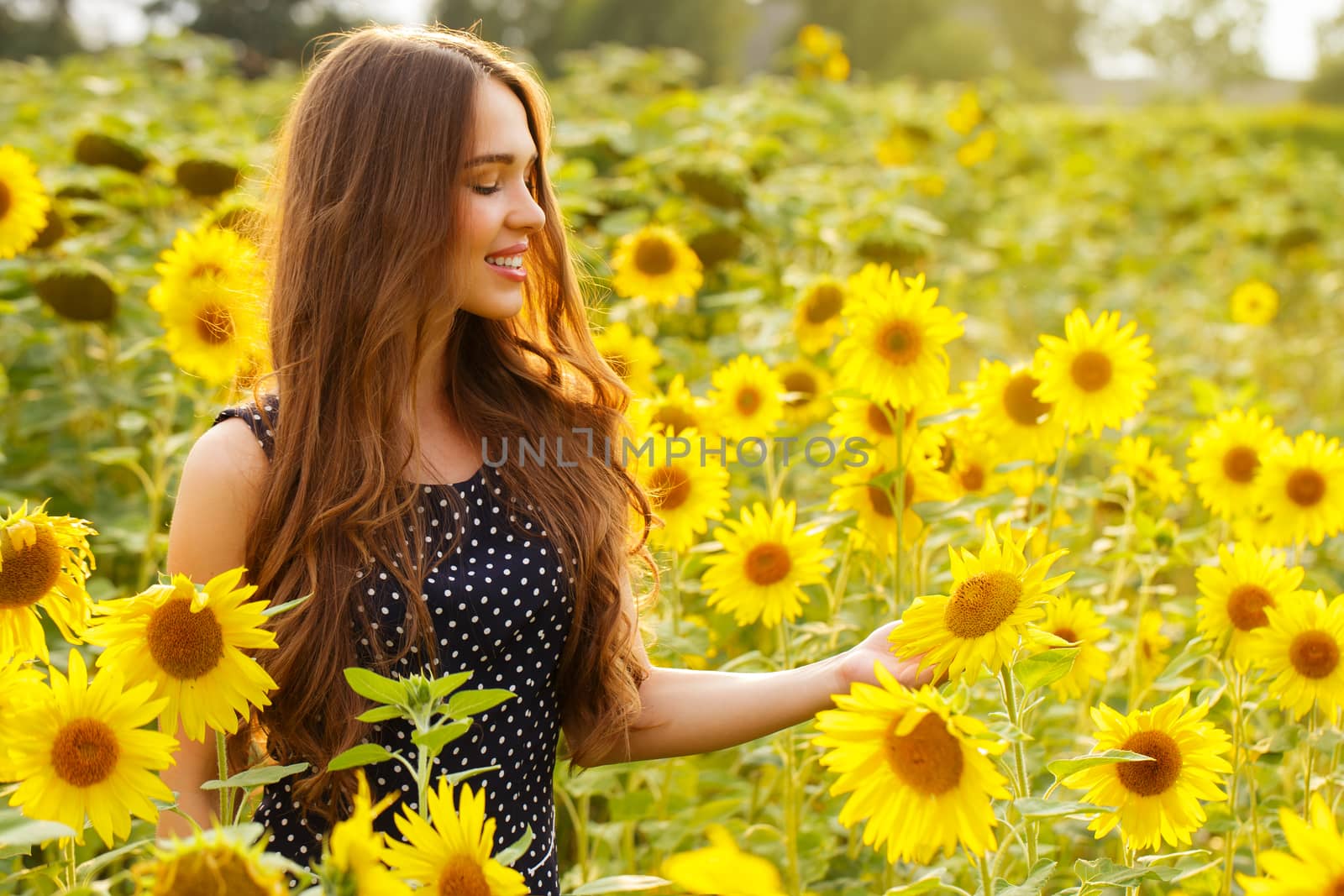 Cute girl in the field full of sunflowers