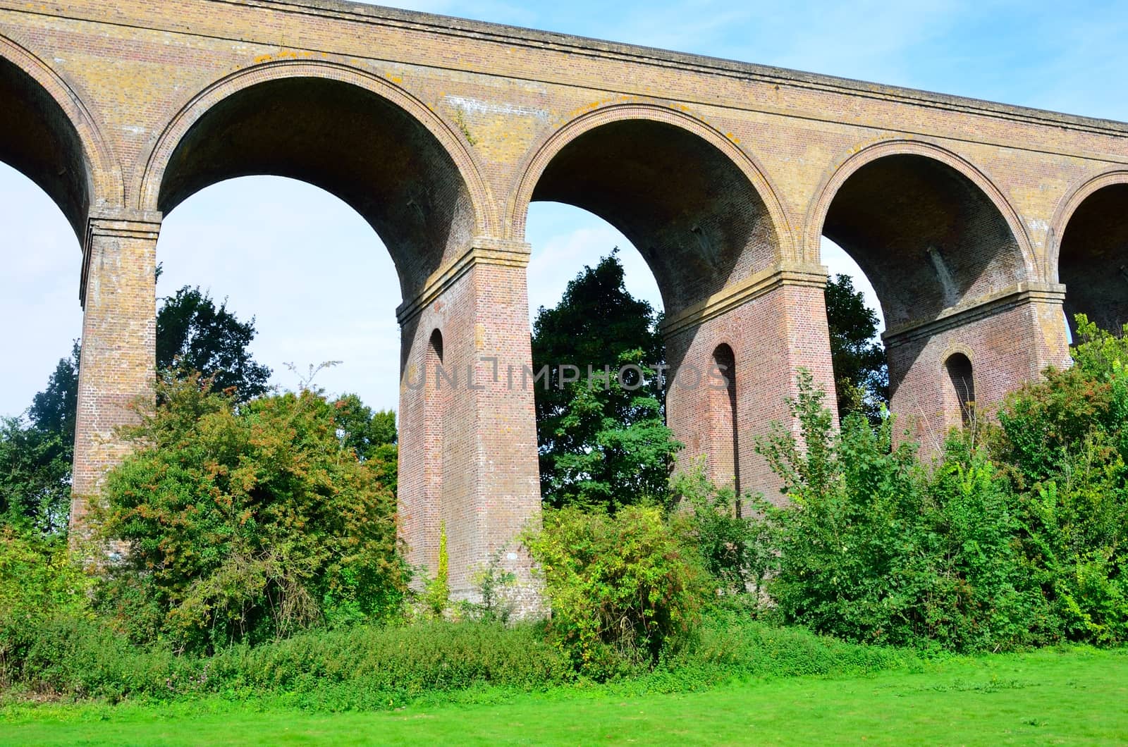 Viaduct Essex by pauws99