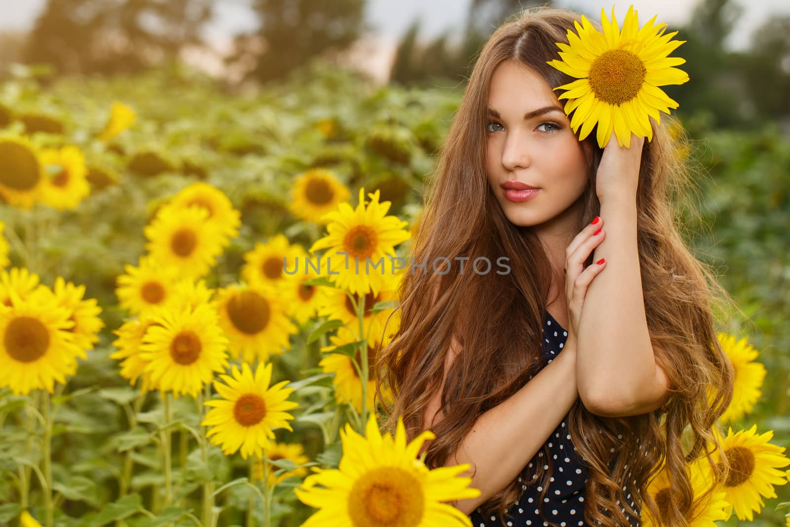 Beautiful girl with sunflowers by rufatjumali