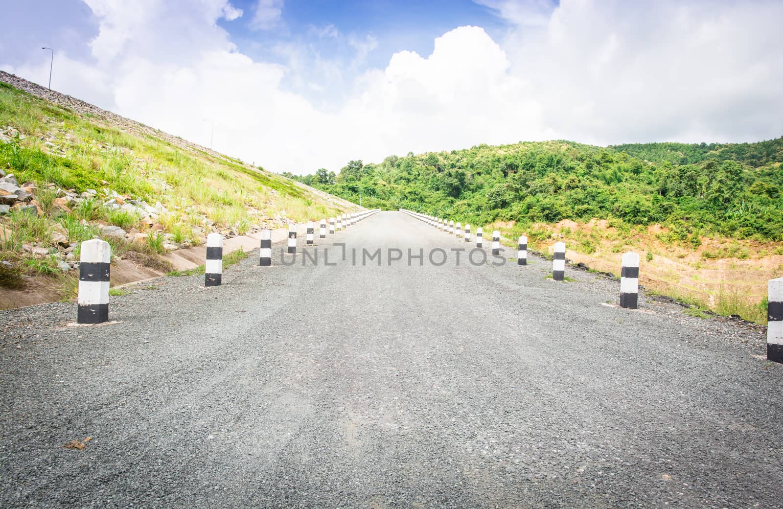 the beautiful view of the road in the country side forest