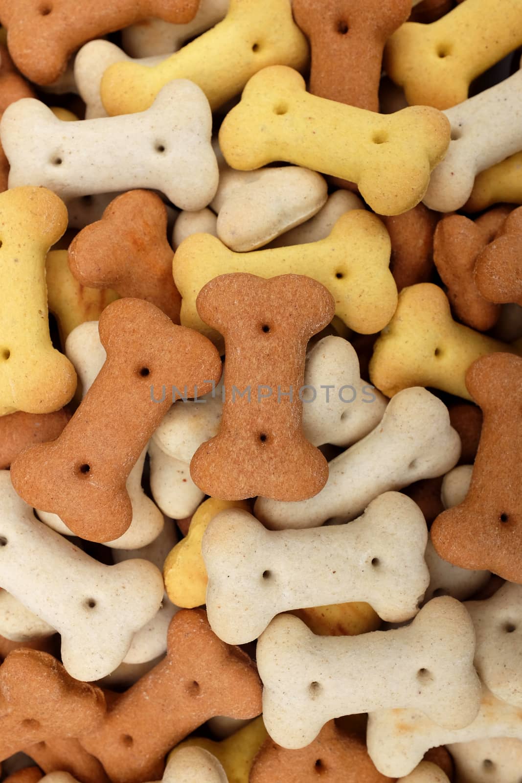 Mixed dog biscuits as a vertical abstract background texture