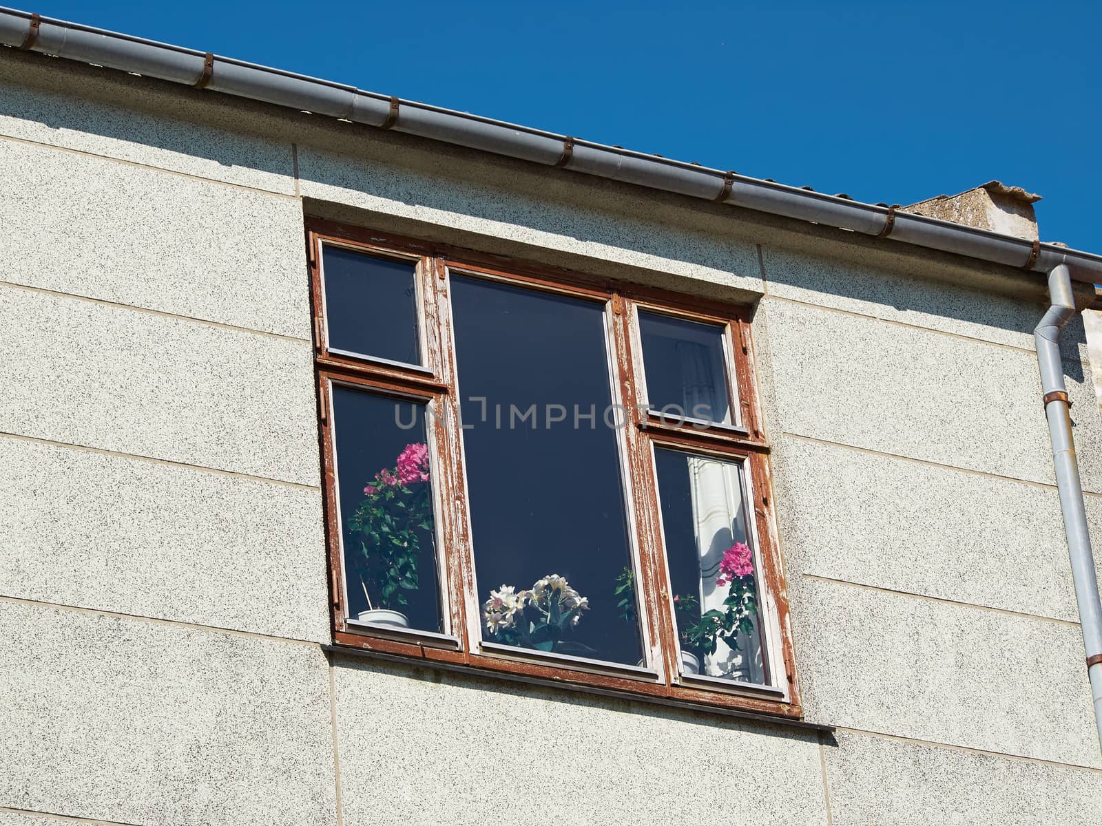 Beautiful flowers arranged in a vase by the window home background image