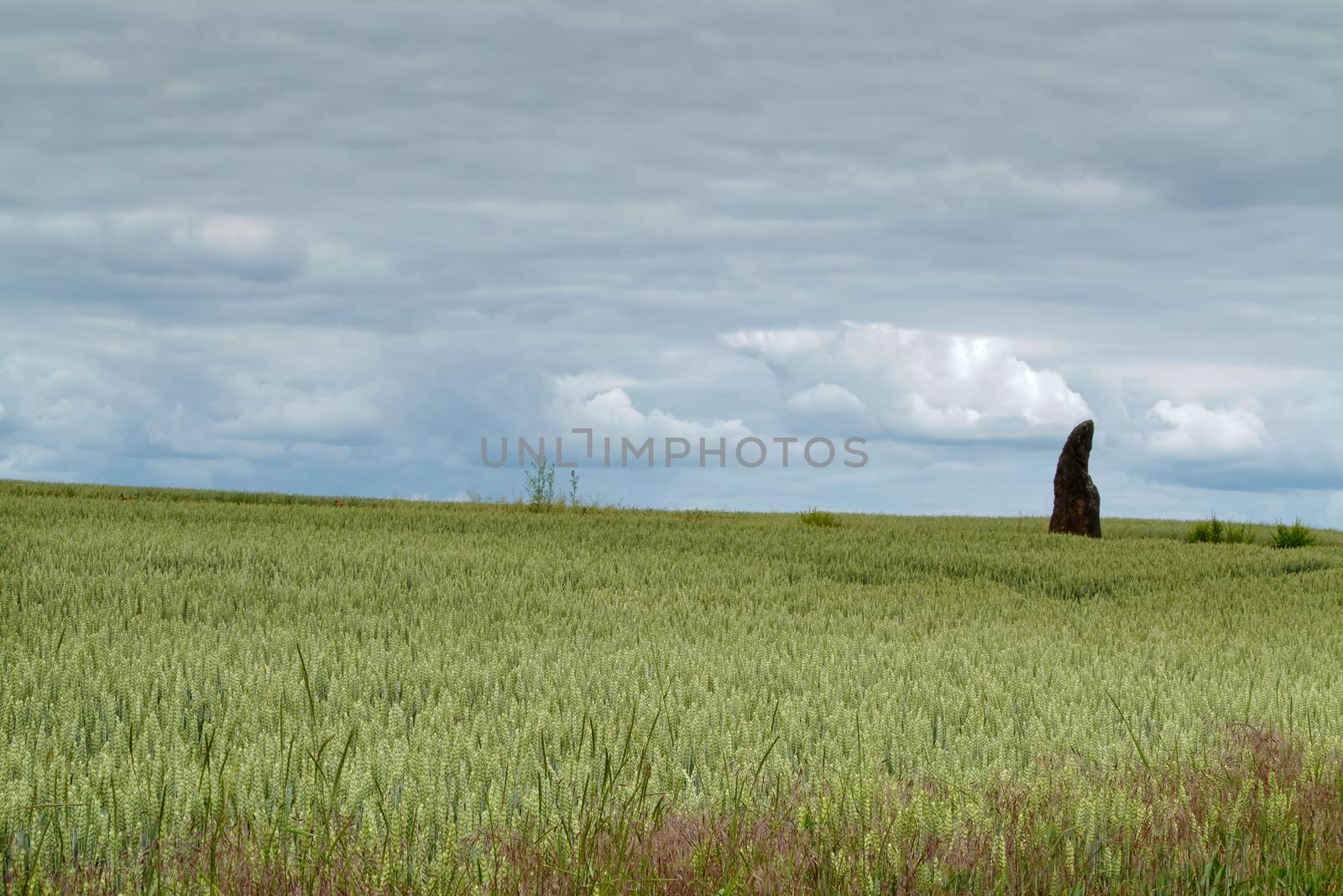 Menhir Stone Shepherd (also Stone Man, Petrified Man or Petrified minister) is a menhir standing alone in a field 1 km northwest of the village Klobuky, district Kladno. This is the highest menhir in the Czech Republic.  3.5 m tall columnar rock uncut dark iron Cretaceous sandstone. This is one of the few stones in the country, which we can with high probability be considered a real prehistoric menhir.