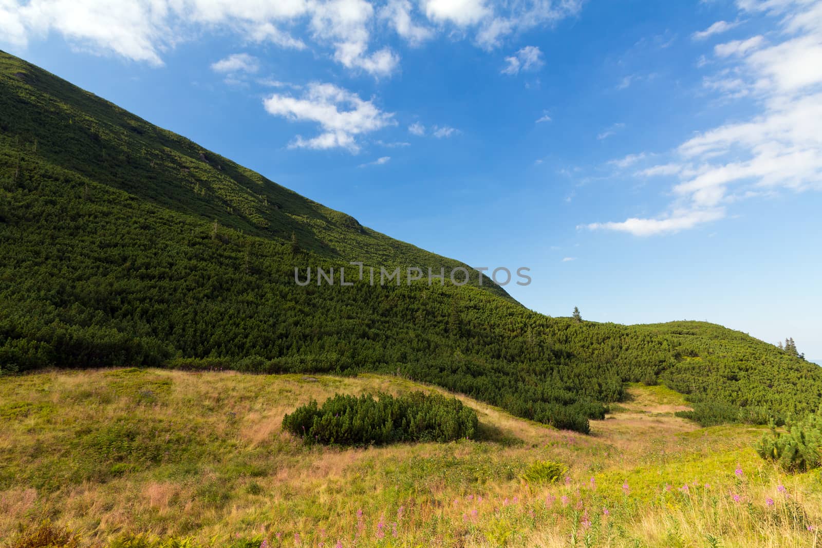 view on mountains in summer with blue  sky and clouds