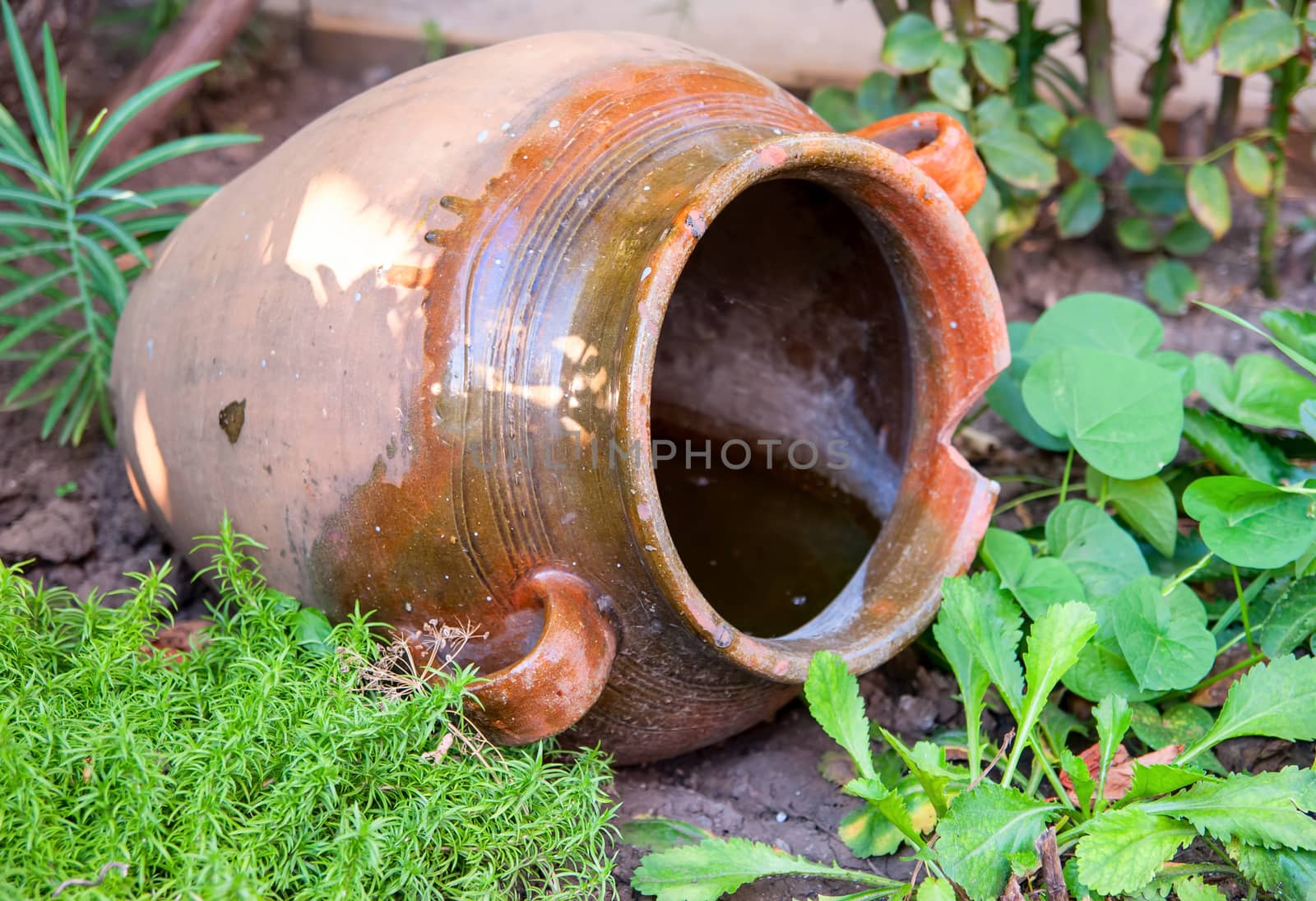 Big old retro jug, decoration in the garden by Zhukow