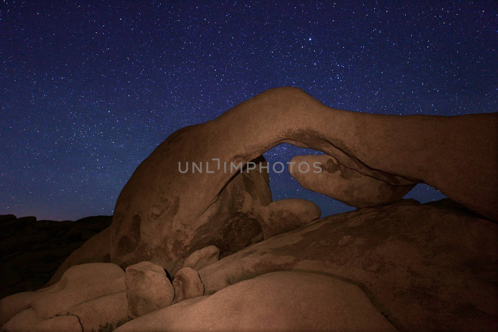 Star Long Exposure Over Joshua Tree National Park by tobkatrina