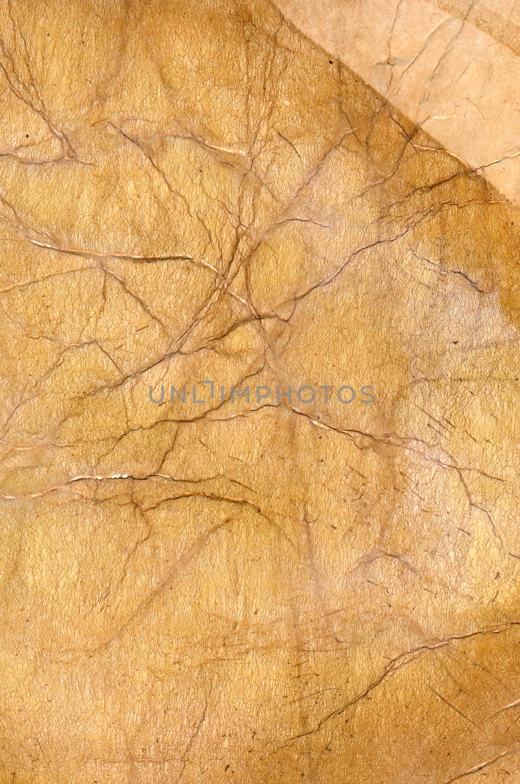 ancient grunge paper surface background