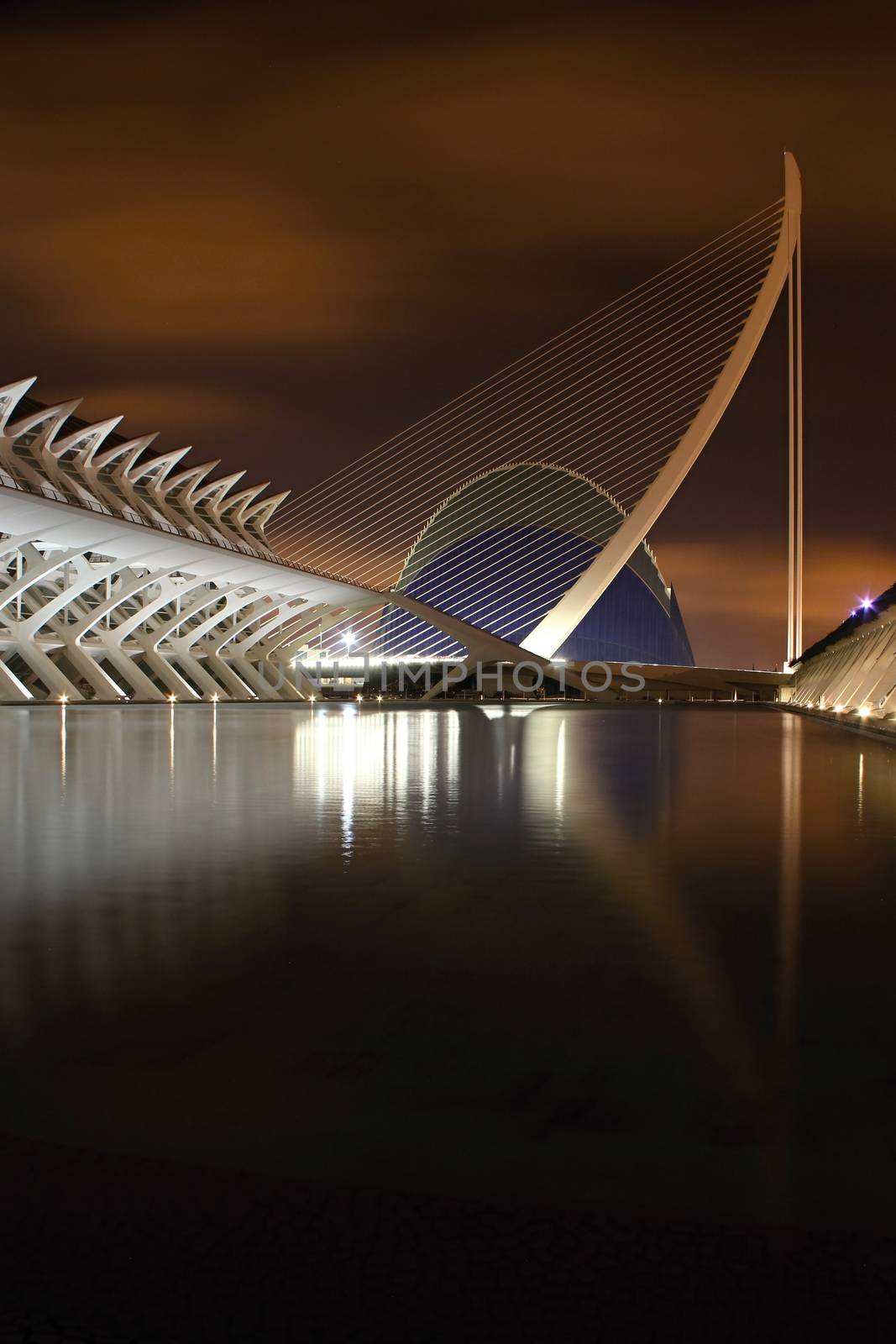 Photo shows Valencia city at night and its various surroundings.