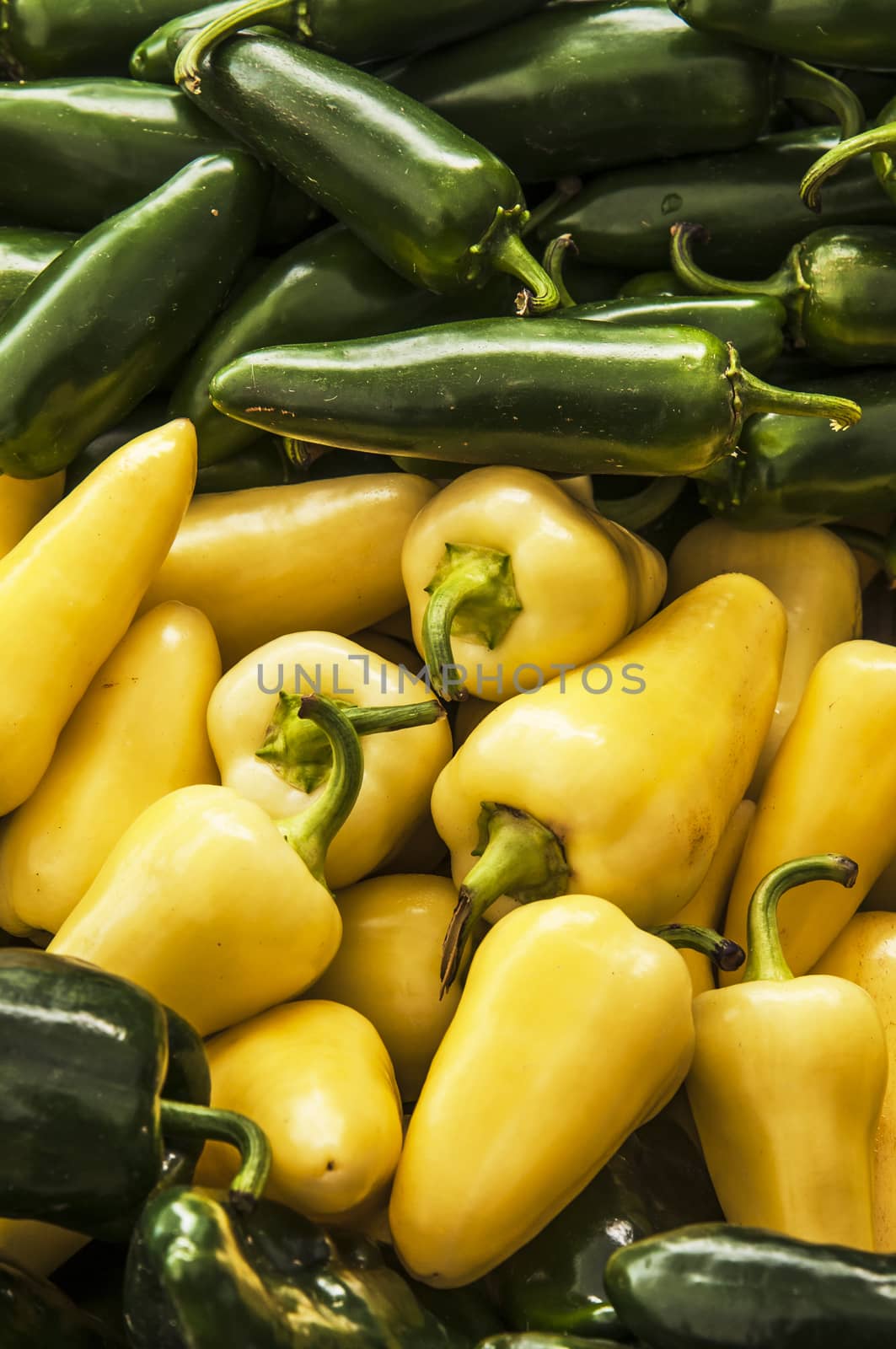 group of varied pepper in an american market