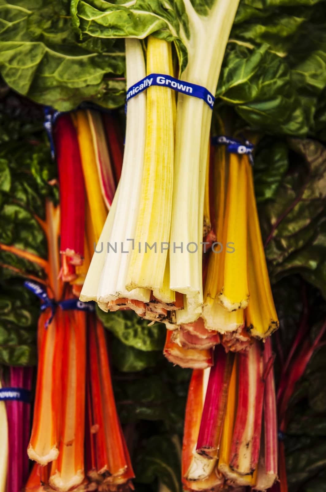 a group of rainbow chard in an american market