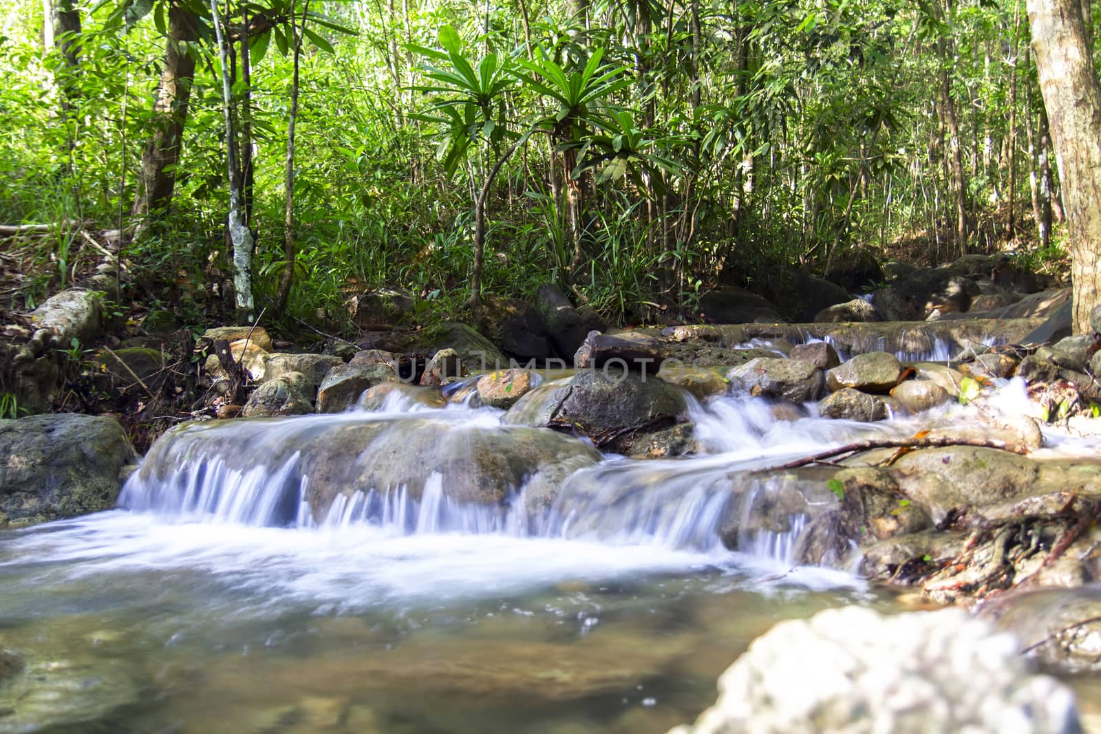 Stream View inForest of Krabi Province Thailand