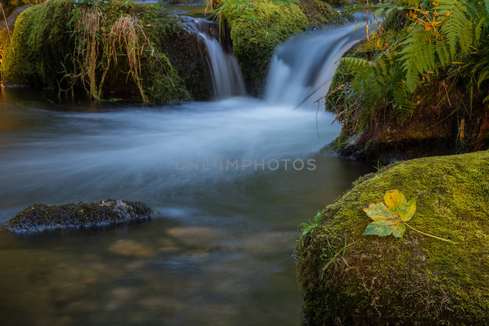 Fall leaf on moss stone over motion blur stream or river in autumn forest