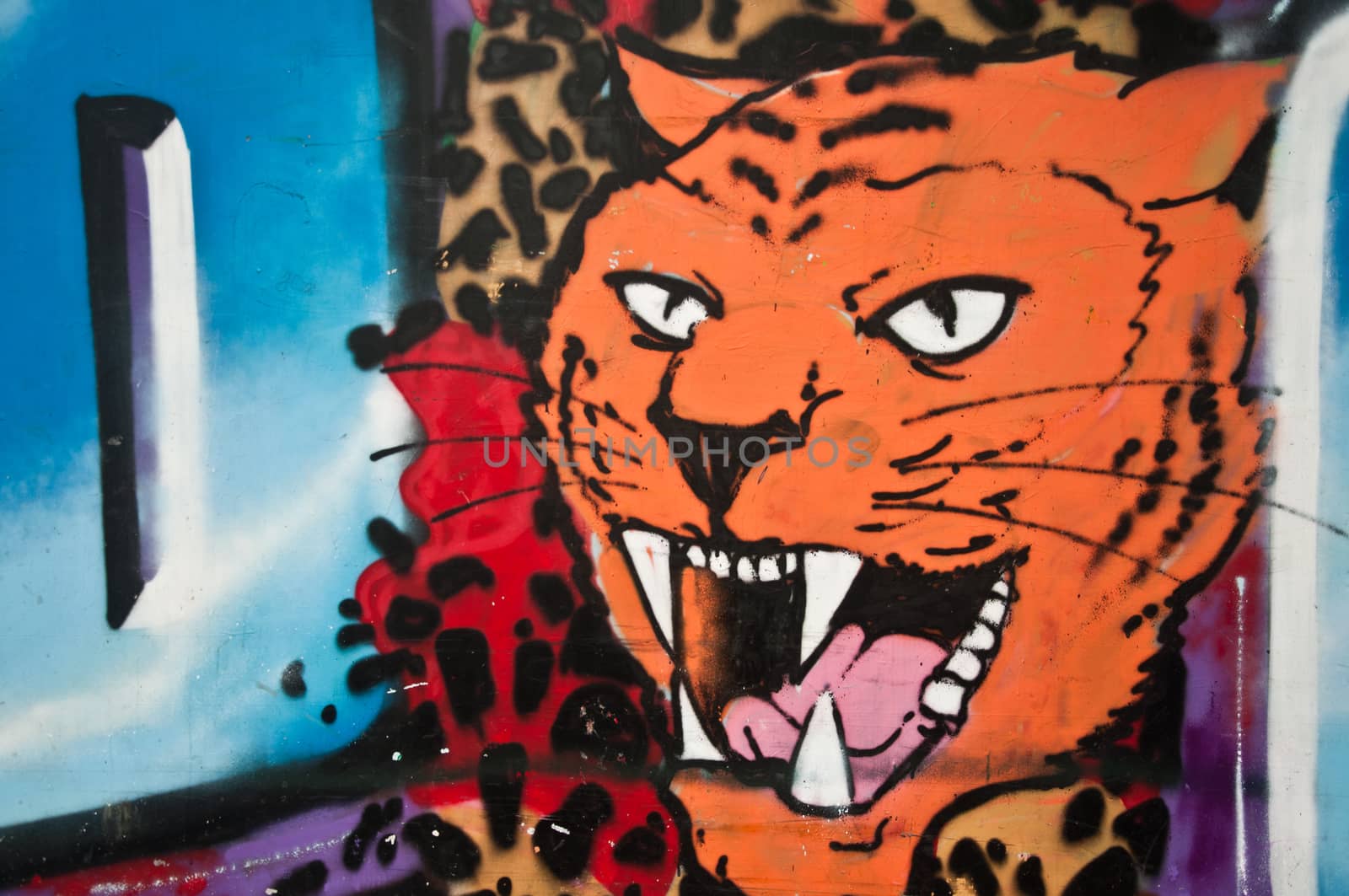 urban art street in paris - tiger