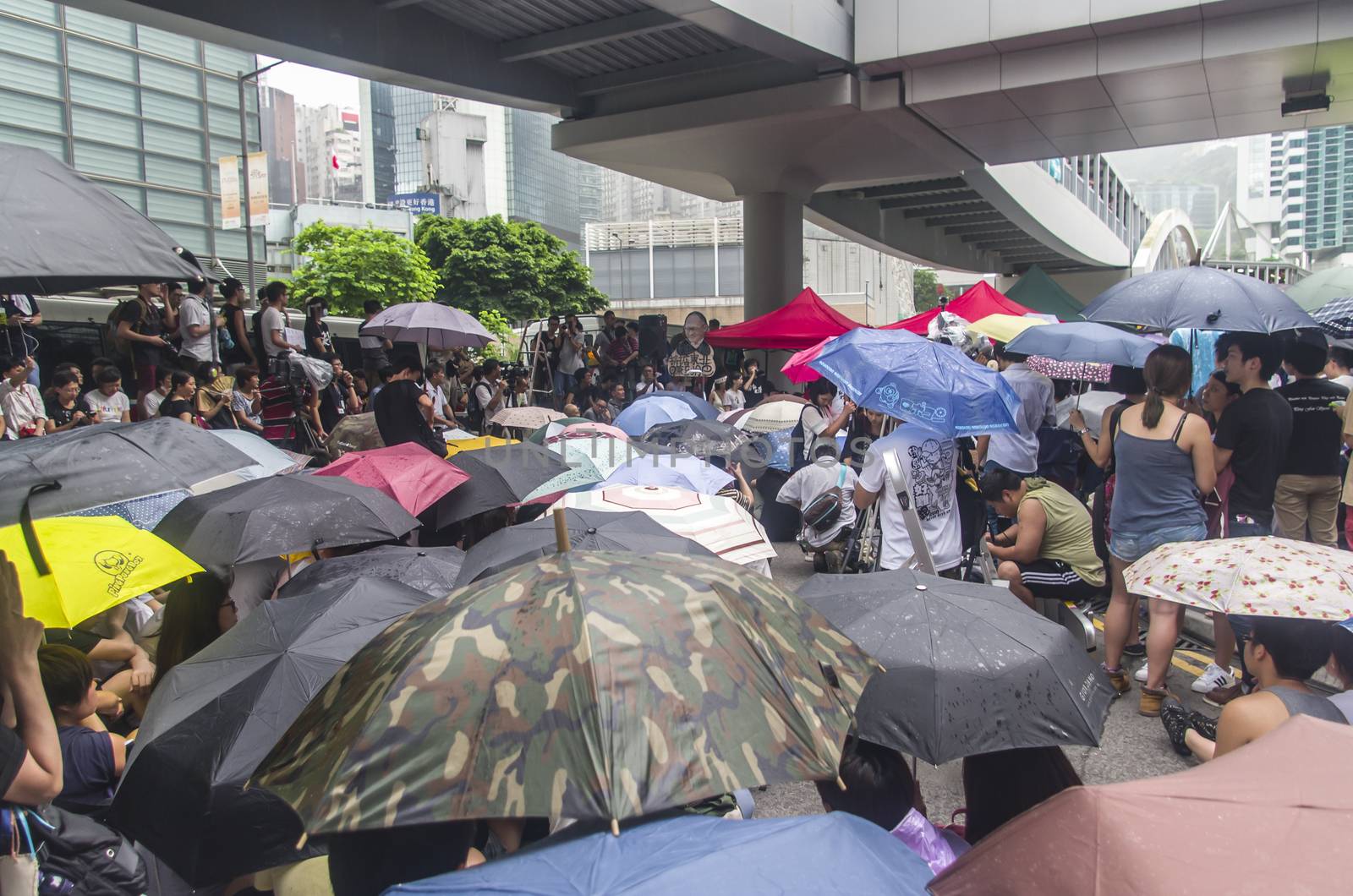 Protesters about Northeast New Territories Hong Kong by kawing921