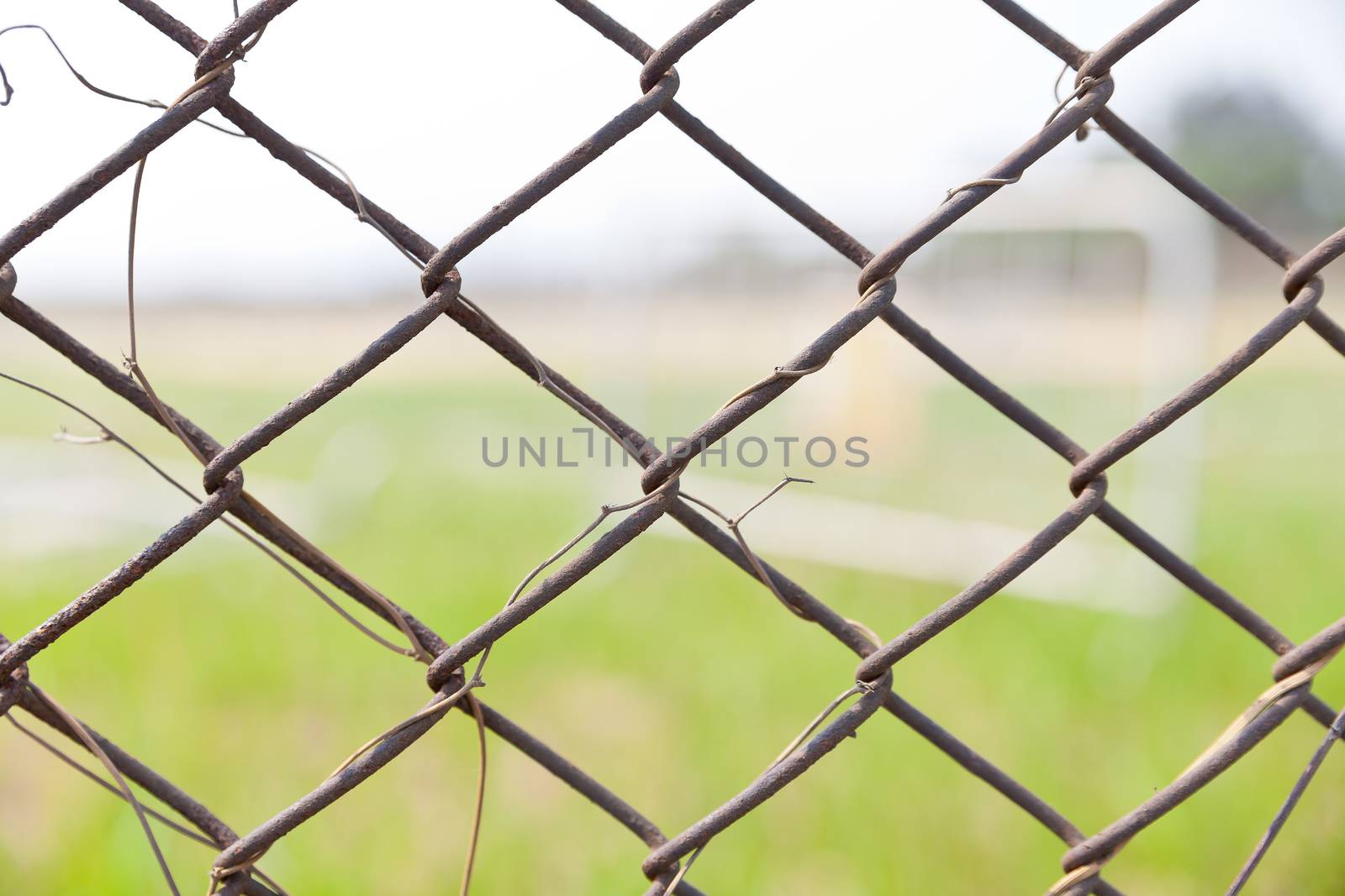 Iron hain fence 